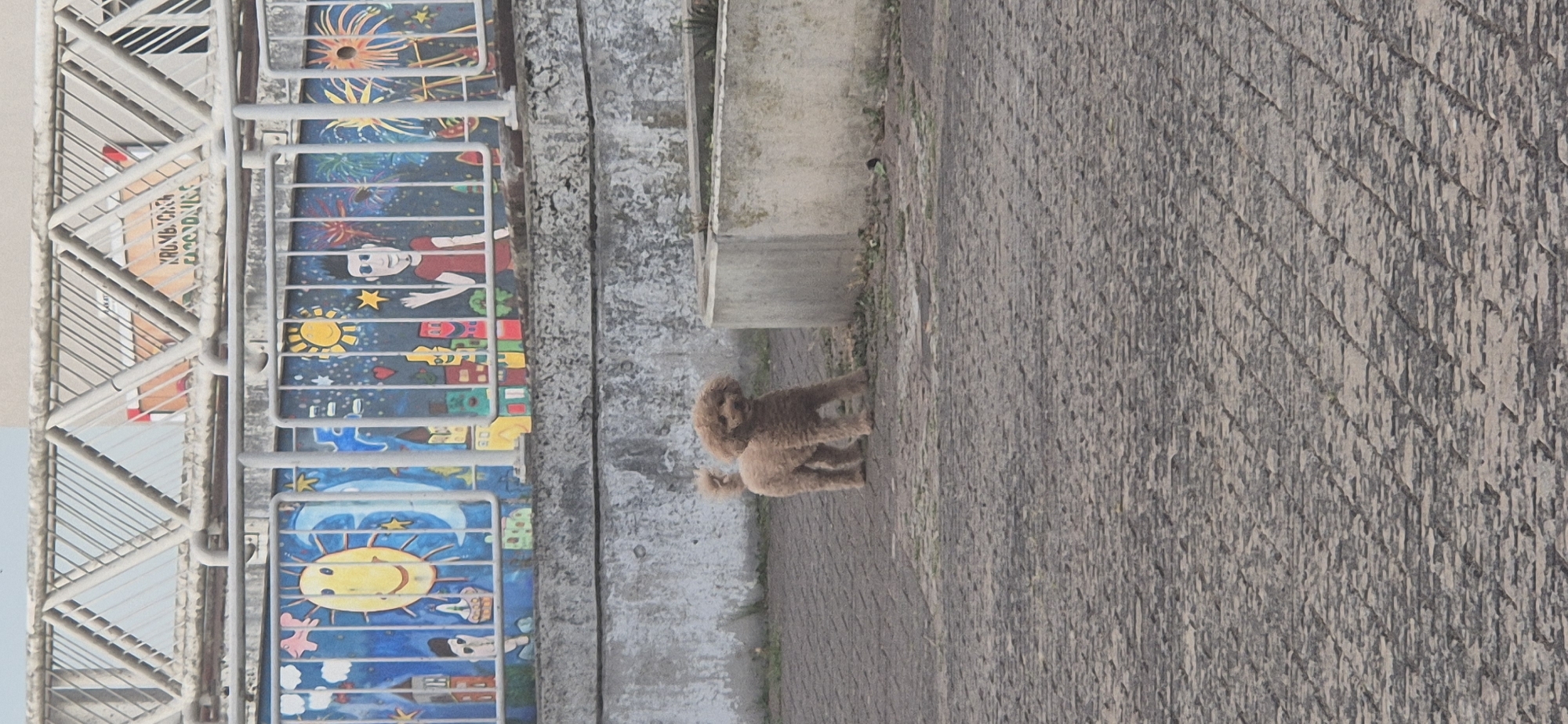 A light brown poodle stands on a paved area in front of a textured concrete wall. Above the wall is a metal railing and a mural depicting a cartoon sun, stars, houses, and figures. The poodle is facing forward with its tail curled up. The pavement is made of dark rectangular stones laid in a pattern. In the background, behind the poodle and to its right, is a concrete planter. The scene appears to be outdoors, possibly in a public space.