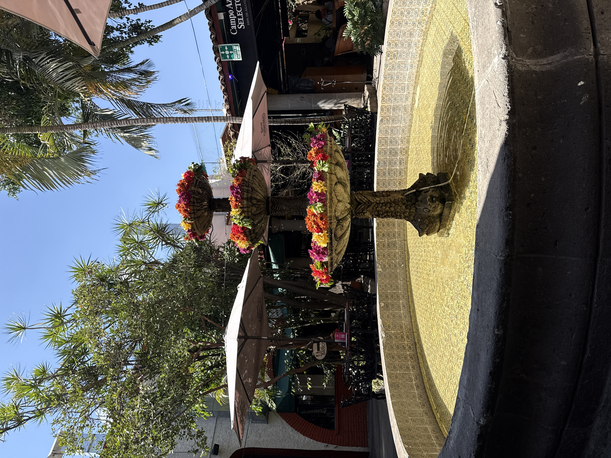 An outdoor scene in Tlaquepaque, Mexico, features a three-tiered, stone-like fountain as the central subject, positioned in the foreground. The fountain's basins are filled with yellowish water and lined with decorative light-colored tiles featuring a geometric pattern. The three tiers of the fountain are adorned with dense arrangements of artificial flowers in red, orange, pink, yellow, and purple hues. The base of the fountain column exhibits a sculptural element resembling a dolphin.
Surrounding the fountain are various elements of an outdoor dining or recreational area. Several large, light-colored patio umbrellas provide shade, with one clearly displaying "TEQUILA CRISTALINO" and another "CORONA TRADICIONAL." Underneath these umbrellas and within shaded areas are multiple tables and chairs, predominantly constructed from dark, possibly wrought-iron, material. A wooden sign reading "BAÑOS" is visible near one seating arrangement.
In the background, a building with white stucco walls and a dark, possibly red-tiled roof is visible. An arched entryway can be seen on the left. To the right, a darker awning overhangs an entrance, featuring white text that reads "Campo Azul Selecto" and "100% DE AGAVE." Above this, a green sign with a white person symbol and "PUNTO DE REUNIÓN" (meeting point) is affixed. Within the shaded area under the "Campo Azul Selecto" awning, several individuals are seated at tables, their specific actions not clearly discernible.
The environment is characterized by abundant green foliage, including tall palm trees and other broad-leafed trees, some with spiky leaves, providing natural shade. A clear, bright blue sky is visible overhead, indicating a sunny day. The scene suggests a vibrant public or commercial space.