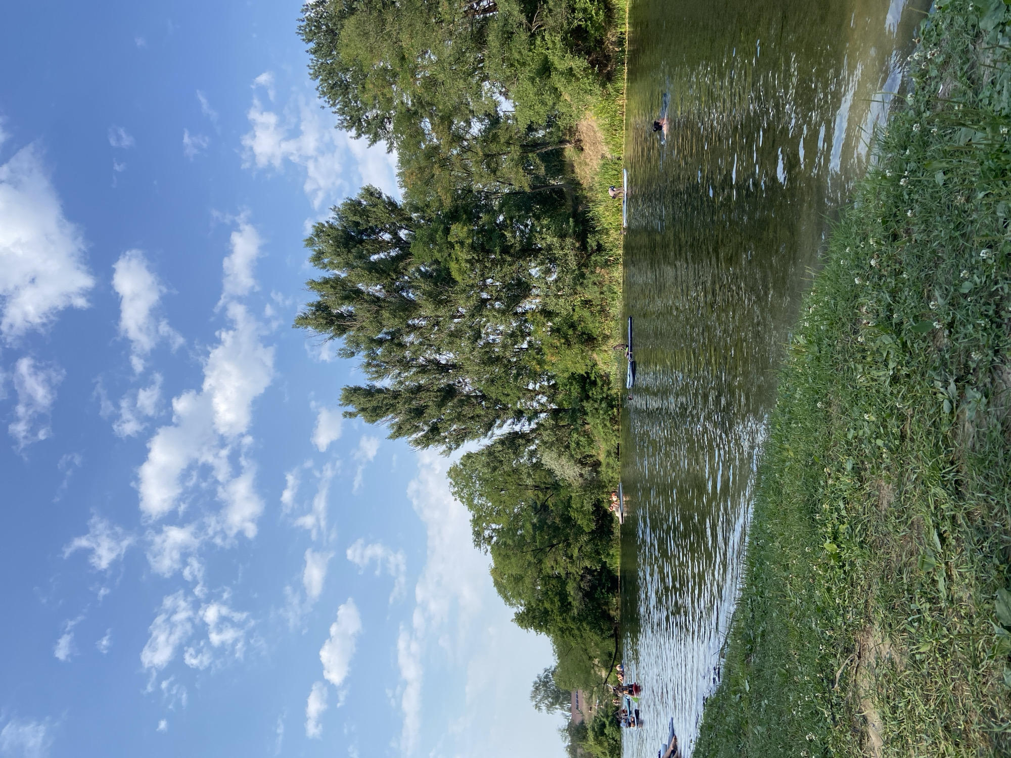 The image depicts a sunny day with a clear blue sky and scattered white clouds over a wide, calm river. Lush green trees line the far bank of the river, creating a verdant backdrop. The foreground features a grassy bank sloping down to the water's edge. Several people are engaged in recreational activities on the river. Some individuals are on paddleboards, while others are swimming. One person is seen swimming with their head above water, looking towards the right of the frame. The scene suggests a leisurely outing at a river located in or near the city of Petrivka, Ukraine, a location known for its natural beauty and recreational opportunities.