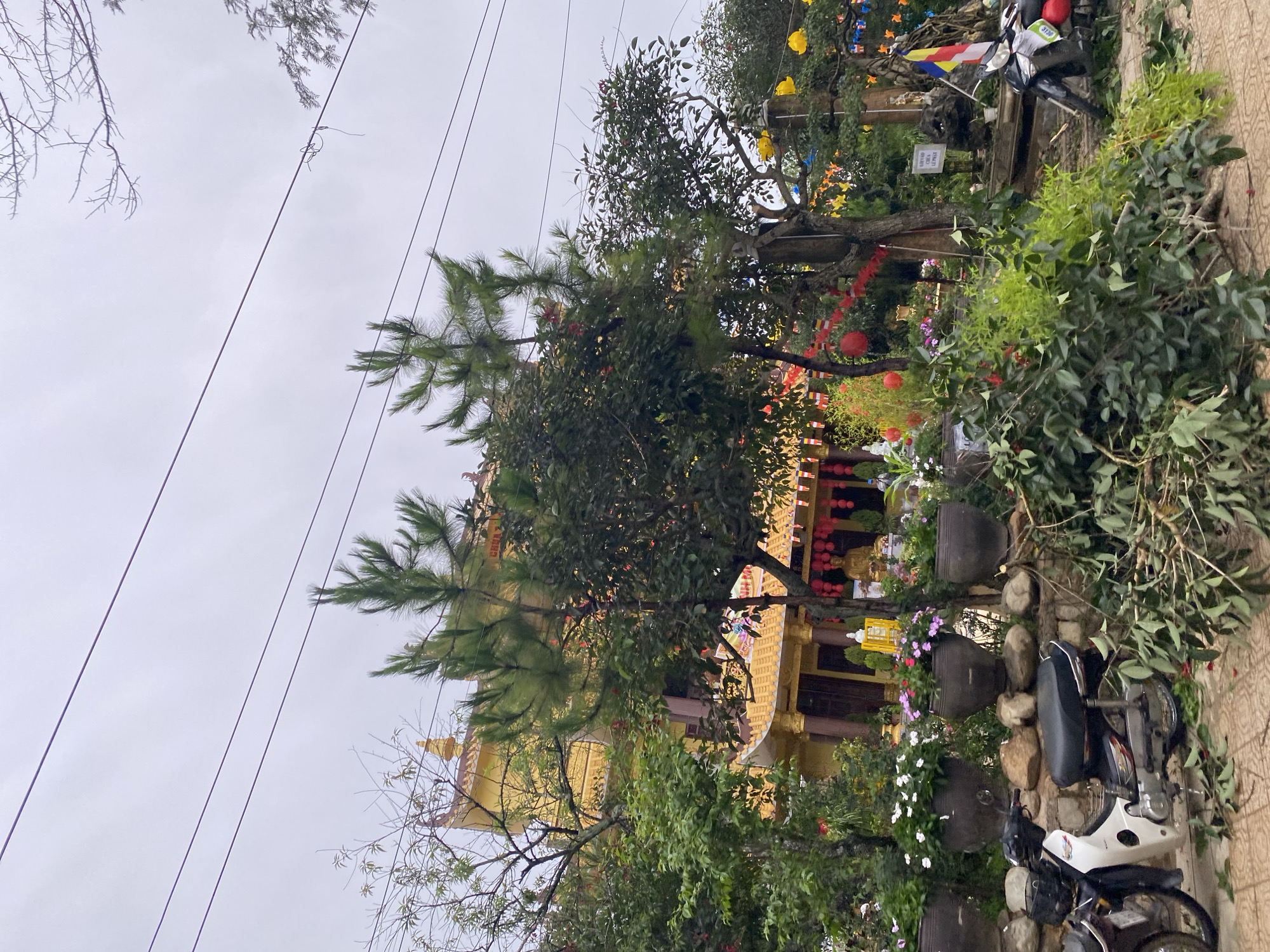 Here is a concise, forensic, matter-of-fact description of the scene:
The image depicts a yellow temple in Da Lat, Vietnam. The temple is partially obscured by trees and foliage. Electrical wires are visible against a grey sky. A motorcycle is parked on a tiled surface adjacent to the temple grounds. The area is decorated with various lanterns and flags. The temple is surrounded by potted plants and stone features. No people are visible in the image.