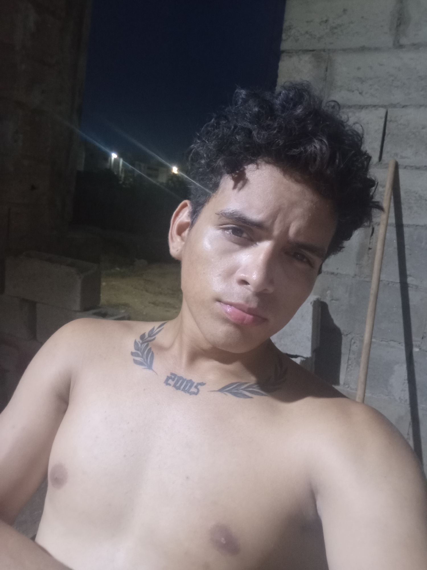A shirtless young adult male is depicted in a medium-close shot, posing for a photograph, likely a selfie, at night in Altagracia, Venezuela. He has dark, curly hair and a tan complexion. His expression is neutral with a direct gaze towards the camera. Two tattoos are visible on his chest: a dark, leafy branch design extending across his left clavicle, and the numerical text "2005" positioned below it on his upper sternum.
The subject's bare chest and upper arms are visible. The background consists of a rough concrete block wall to the right, against which a thin wooden stick leans vertically. To the left, a darker, indistinct structure is present, possibly stacked construction blocks. In the upper left background, multiple distant artificial lights are discernible against a dark night sky, suggesting an urban or semi-urban environment. The scene is illuminated by artificial light, causing highlights on the subject's skin and casting some shadows.
