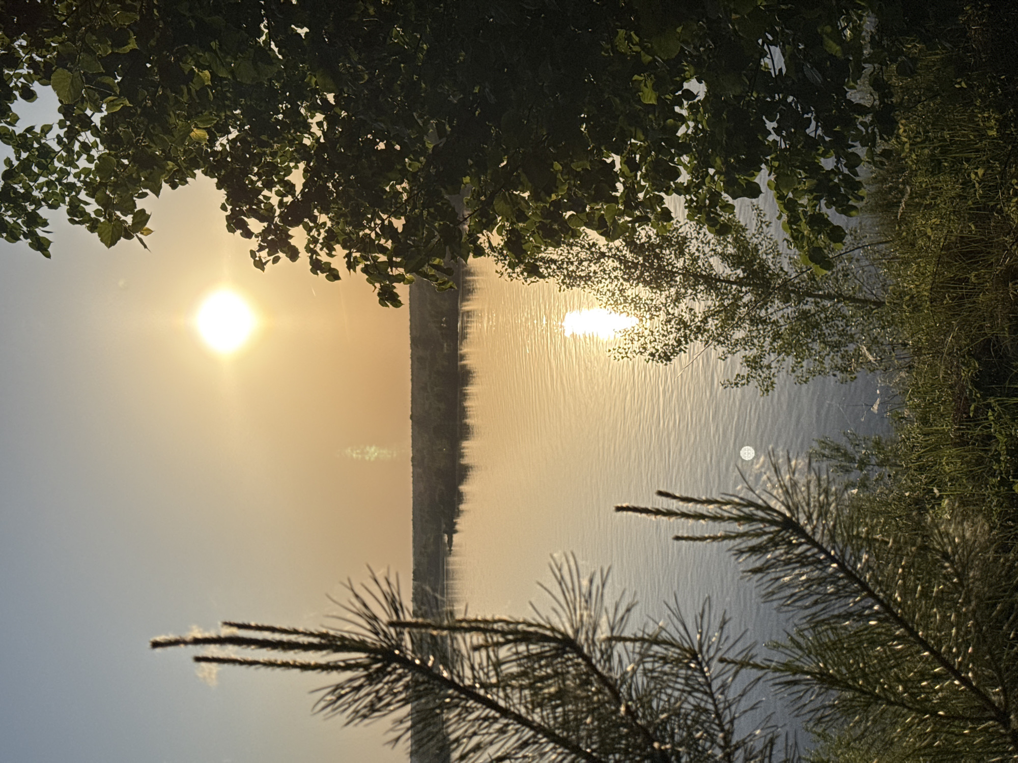 The image shows a view of the setting sun over a body of water, possibly a river or lake, taken in Прикамский, Russia. The bright sun is positioned in the upper left corner of the frame, with its reflection visible on the water's surface. Foliage from trees and bushes frames the scene at the top and bottom, adding depth and a natural element to the composition. The color palette leans toward warm hues of gold, yellow, and orange, indicative of either sunset or sunrise. There are no people visible in the image.