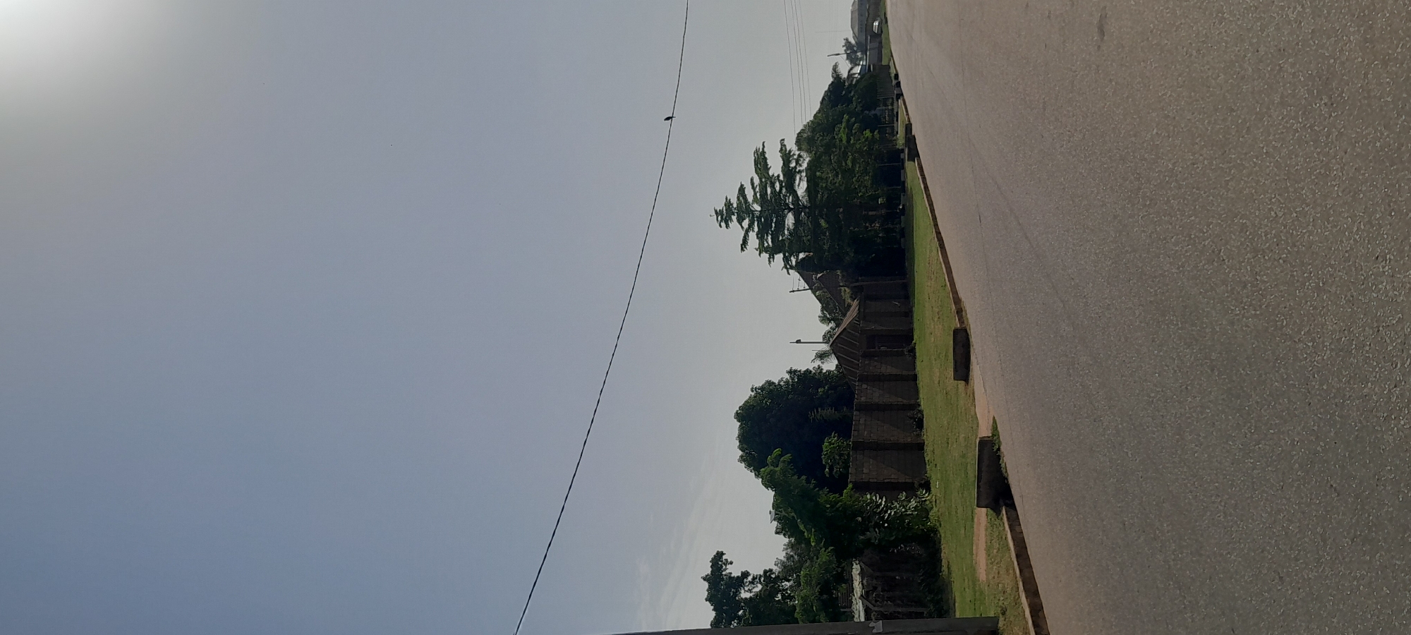 The image captures a view of a street in Jalingo, Nigeria, on a clear day. The foreground shows a paved asphalt road with a distinct curb and drainage elements along its edge. To the left of the road, a grassy area is visible, bordered by a low, concrete structure. Beyond the grassy area, a stone wall encloses a property with some structures and lush green trees. A solitary bird is perched on a thin wire that stretches horizontally across the upper half of the frame, above the trees and structures. The sky is mostly clear with a bright sun towards the upper right corner, casting a bright light.