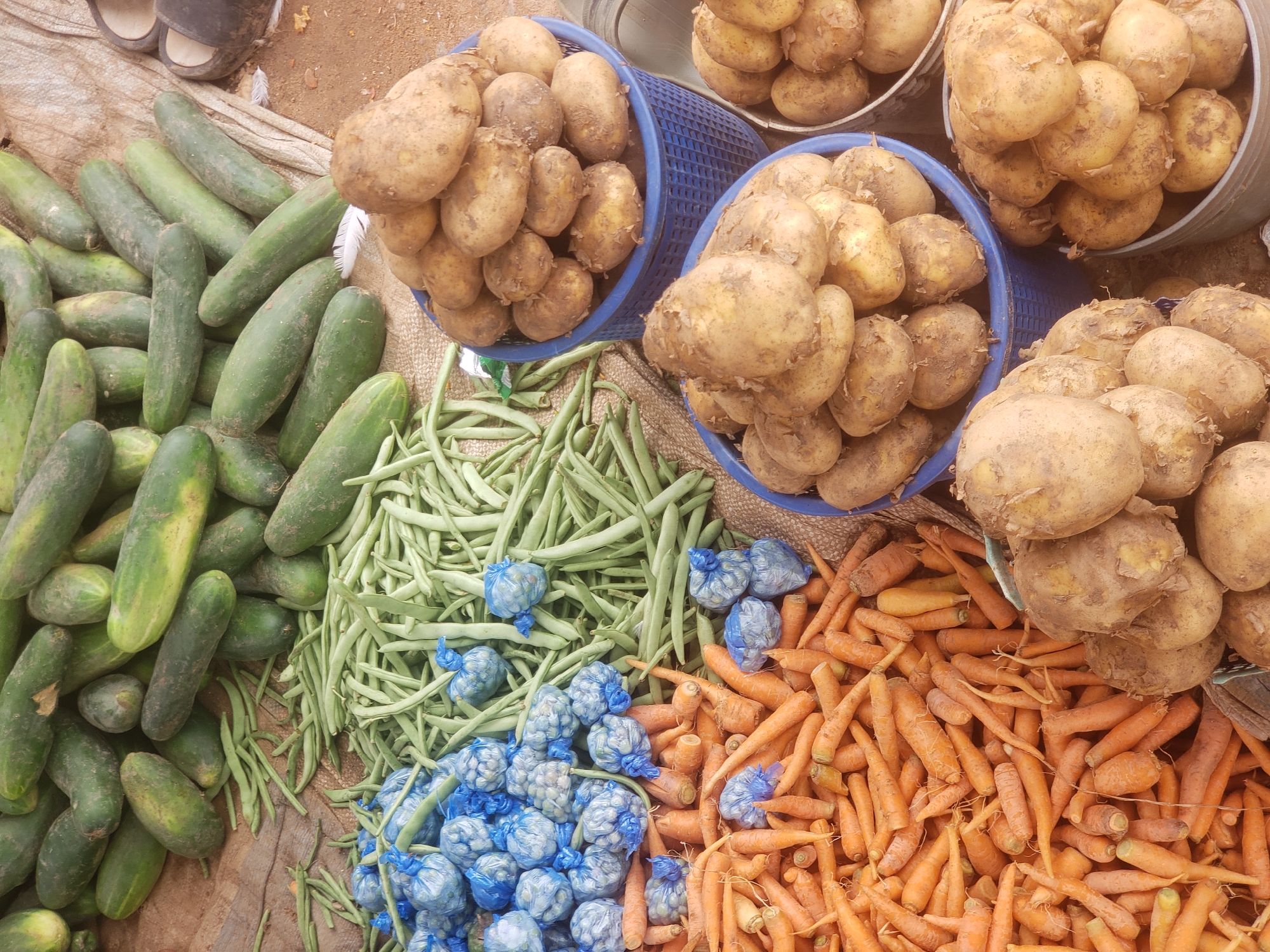 An overhead shot captures a vibrant produce stall, likely in Television, Nigeria, displaying a diverse array of fresh vegetables. In the foreground, a large pile of bright orange carrots spills out of a basket, their slender forms overlapping. To their left, smaller bundles of what appear to be garlic or onions are neatly wrapped in translucent blue plastic bags.
Behind the carrots and blue bundles, a substantial quantity of long, green beans is piled high, their delicate pods creating a textured, verdant mound. To the upper left and right of the frame, a generous collection of cucumbers, varying in size and shade of green, is spread out. Some are smooth, while others have a slightly ridged texture.
Dominating the right side of the image are three baskets filled with potatoes. The potatoes are earth-toned, with some showing visible dirt. They are rounded and plump, stacked densely within their containers. The stall appears to be set up outdoors, with a coarse, sandy ground visible in the background, suggesting a market setting. The lighting is natural, casting subtle shadows and highlighting the textures of the produce.