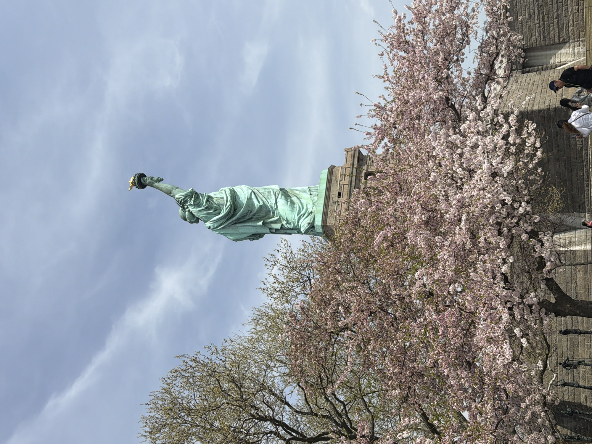 This outdoor, vertically oriented image captures a unique perspective of the Statue of Liberty, situated in New York, United States of America. The iconic statue, distinguished by its weathered green-blue (verdigris) copper, is prominent in the left-center, with its torch-bearing arm raised high towards the sky. The torch itself has a golden hue.
The scene is framed by vibrant cherry blossom trees, heavily laden with light pink flowers, which dominate the right side of the image. Another tree with more sparse, budding green leaves is visible towards the bottom-center, suggesting it's early spring.
In the upper right corner, partially obscured by the cherry blossoms, are a few individuals. One person is clearly visible from the back, wearing a black shirt and a baseball cap. Another person is visible in a white top. They appear to be observing the surroundings or the statue itself, likely tourists. Behind the cherry blossoms and people, a gray, block-like architectural structure, possibly part of the statue's pedestal or a nearby building on Liberty Island, can be seen.
The sky is a clear light blue with some wispy white clouds, indicating fair weather and bright daylight. There is no visible text in the image. The overall impression is a scenic spring day at a historic landmark.
