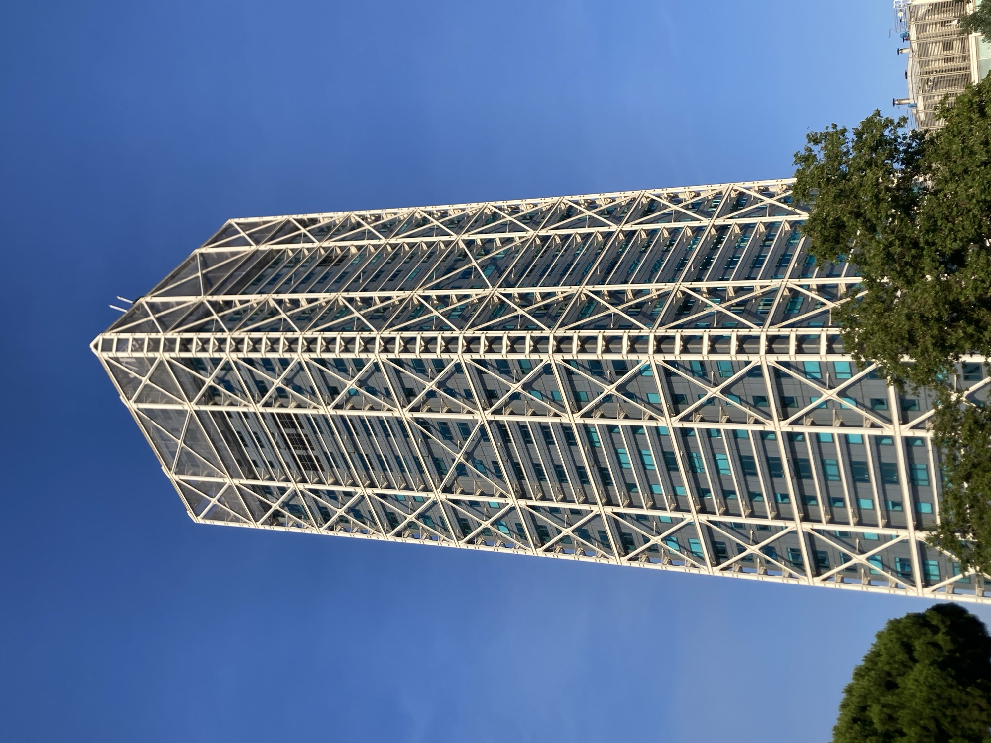 A low-angle, medium shot captures the Torre Glòries skyscraper in Barcelona, Spain, against a clear, bright blue sky. The building's distinctive diagrid exoskeleton, constructed of white steel, encases a dark grey facade punctuated by rows of rectangular, teal-tinted windows. The exoskeleton forms a complex geometric pattern, with diagonal and horizontal beams creating a lattice-like effect. The top of the building tapers to a point, with two white vertical antennas visible. In the foreground, the lush green foliage of trees partially obscures the base of the skyscraper, with the branches of a larger tree extending into the lower right portion of the frame. To the right and behind the skyscraper, a portion of a lower, industrial-looking building with a slatted facade and vents is visible. The scene is bathed in natural light, suggesting it is daytime.