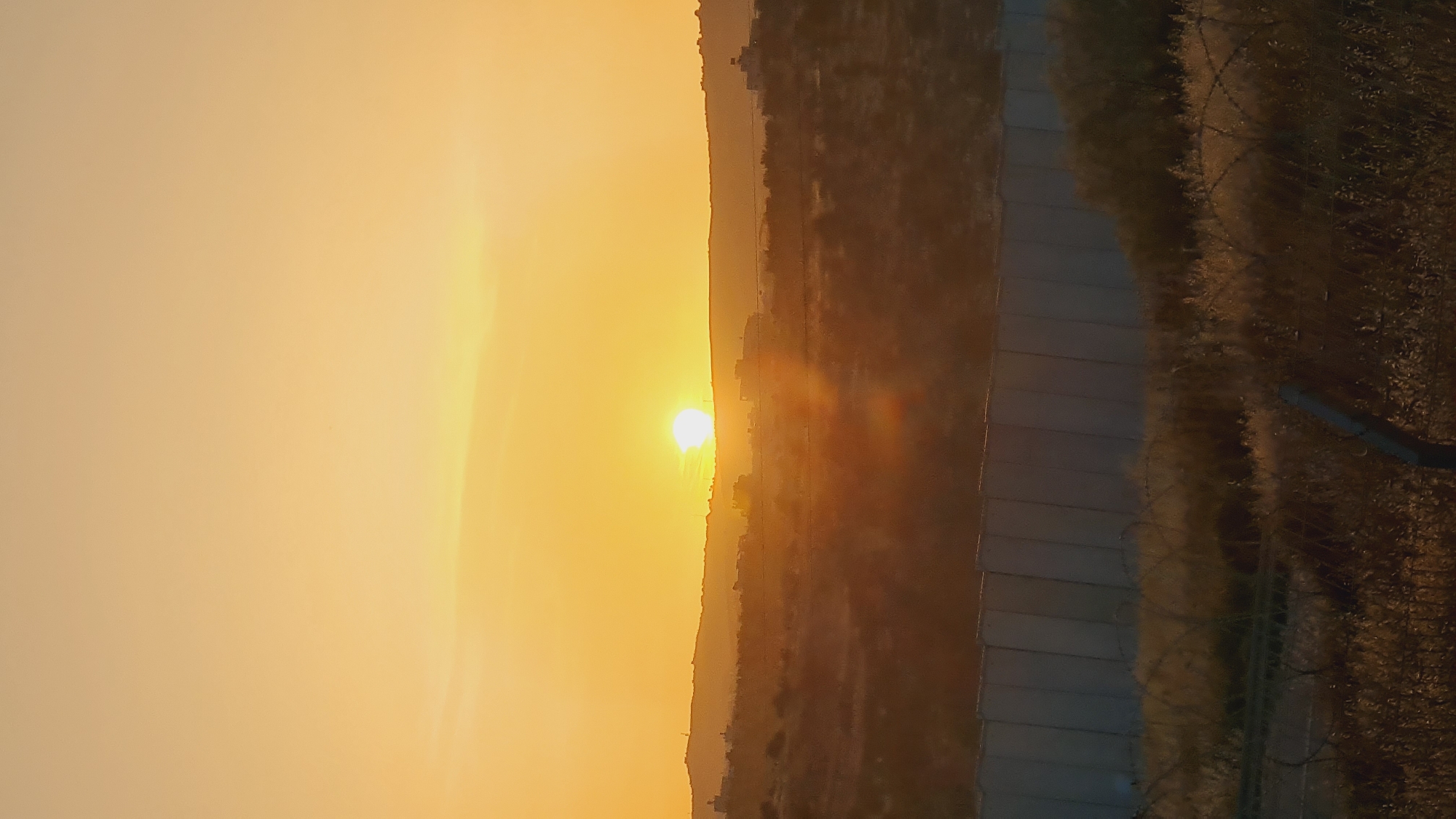 The image depicts a sunrise in the Lachish Regional Council, Israel. The sun is visible on the horizon, casting a golden glow across the sky and landscape. A fence runs along a road or pathway, partially obscured by foliage. The terrain includes a gentle slope or hillside with vegetation. The overall scene suggests a rural or semi-rural environment.