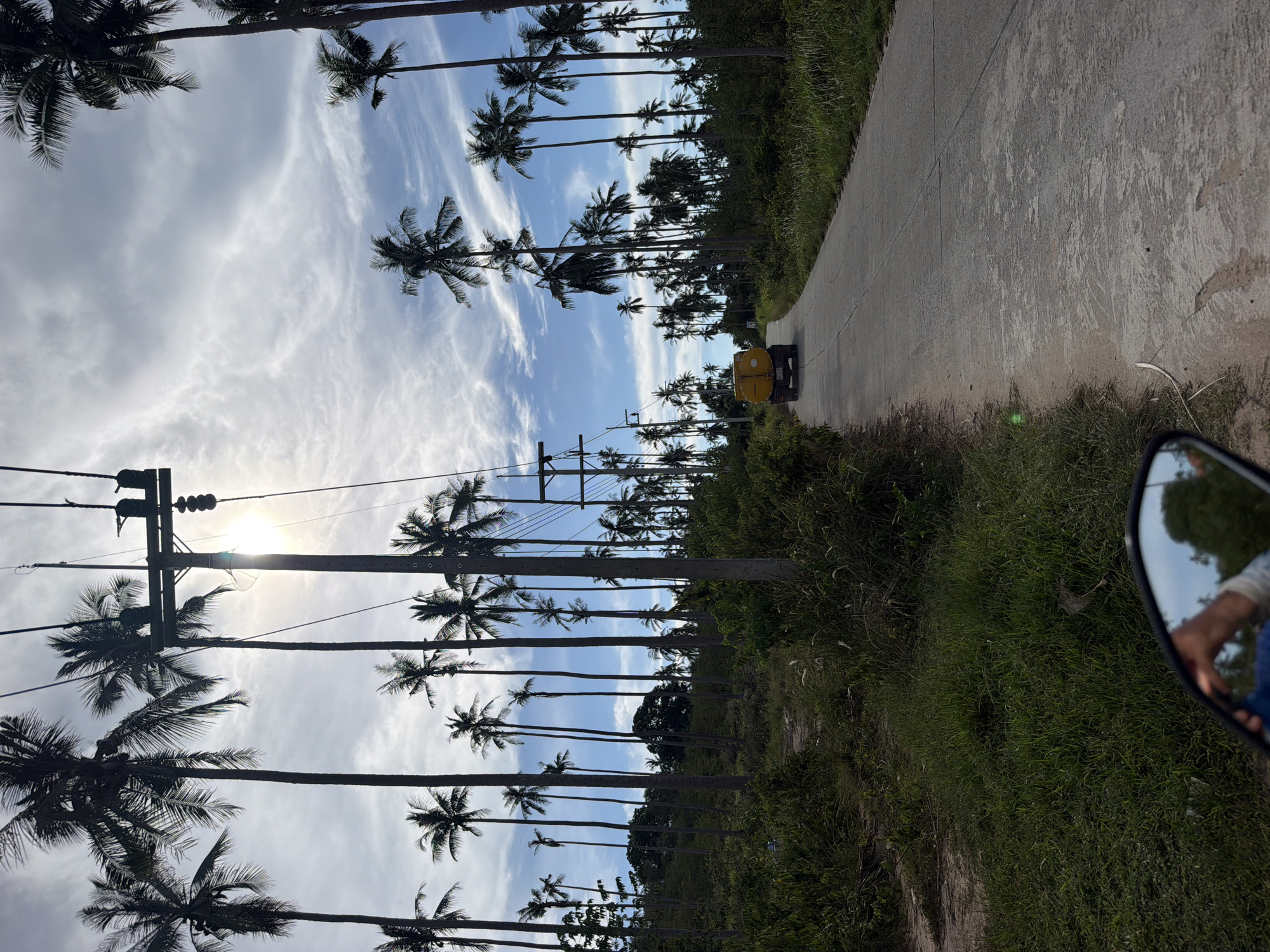 In Baan Tai, Thailand, a paved road curves through a dense grove of tall, slender palm trees, their fronds silhouetted against a bright, cloudy sky. A yellow water truck travels away from the viewer on the right side of the road. Power lines stretch overhead, supported by concrete poles that punctuate the landscape. Lush green grass and vegetation line the sides of the road, with some tall white grasses growing near the edge. In the foreground, the reflection in a motorcycle's side mirror shows a person's arm and shoulder, their skin tanned. The sun shines brightly, casting rays through the palm fronds and illuminating the sky.