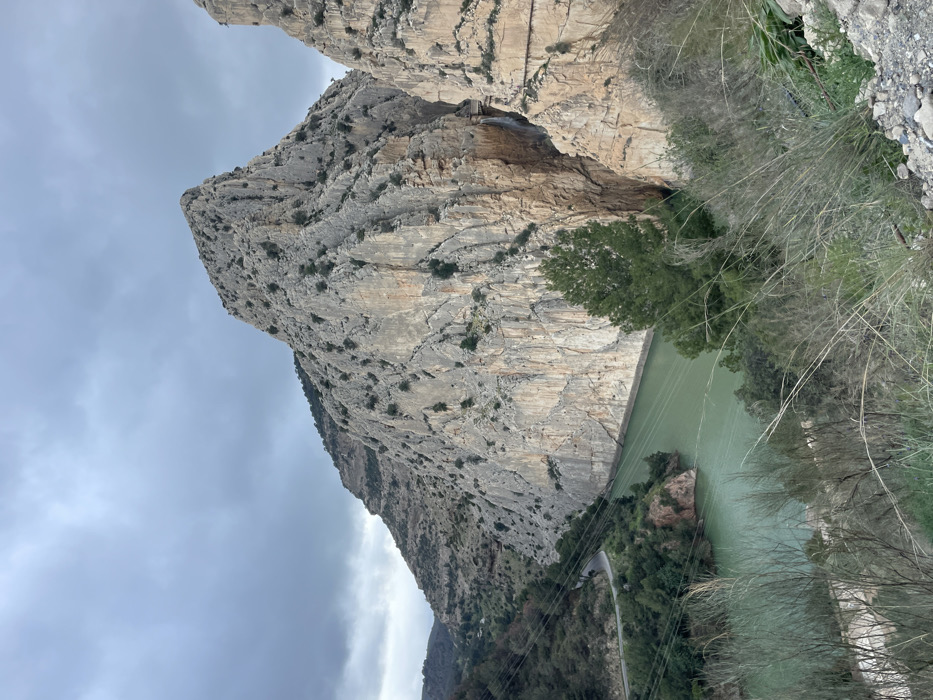 This landscape photograph captures a dramatic and deep gorge, likely located in the El Chorro region of Spain, under an overcast sky. Towering, rugged cliffs of light grey and tan rock dominate both sides of the frame, creating a formidable natural passage. The cliff faces exhibit varied textures, with visible layers, cracks, and sparse green vegetation, primarily small shrubs and trees clinging to crevices. On the right side, built into the sheer rock face, are visible structures that appear to be part of a walkway or infrastructure, including a small arched opening.
Below these imposing cliffs, a serene body of water—a river or reservoir—flows with a distinctive greenish hue. Along the banks, especially on the right, lush green trees and dried, tall grasses frame the water. A winding paved road or path can be seen hugging the base of the cliff on the lower right side, and several strands of power lines stretch across the lower portion of the image, indicating the presence of human infrastructure within this grand natural setting. The sky is uniformly grey with soft, cloudy formations, suggesting a cloudy or overcast day. No specific human activity is depicted, and no text is visible.