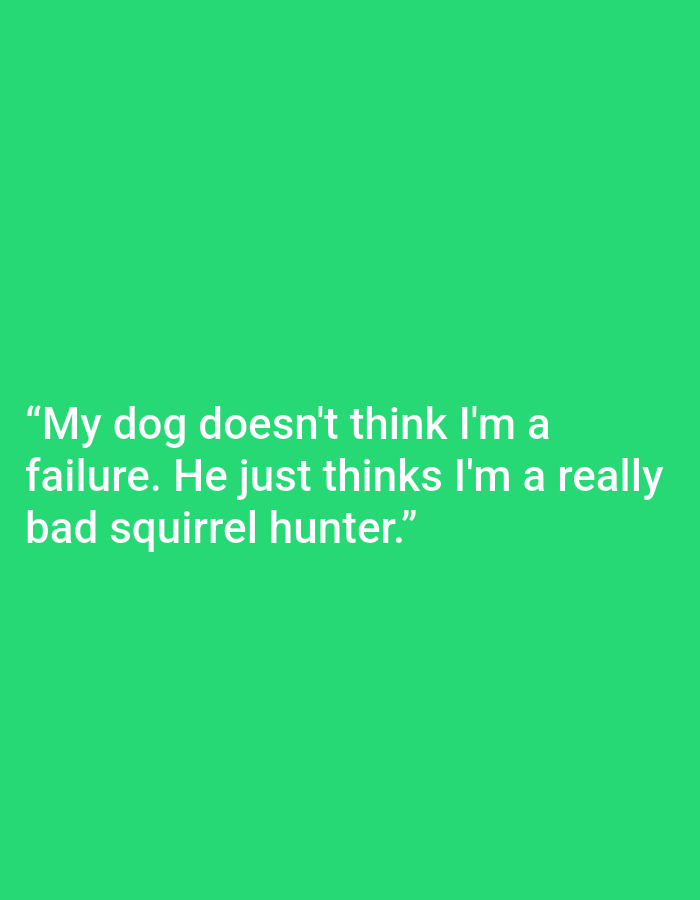 The image is a close-up, medium shot of a quote superimposed on a solid, bright green background. The quote, in white sans-serif text, reads: "My dog doesn't think I'm a failure. He just thinks I'm a really bad squirrel hunter." There are no other objects or people present in the image, and the background is entirely uniform. No location in Kępno, Poland, is depicted or implied.