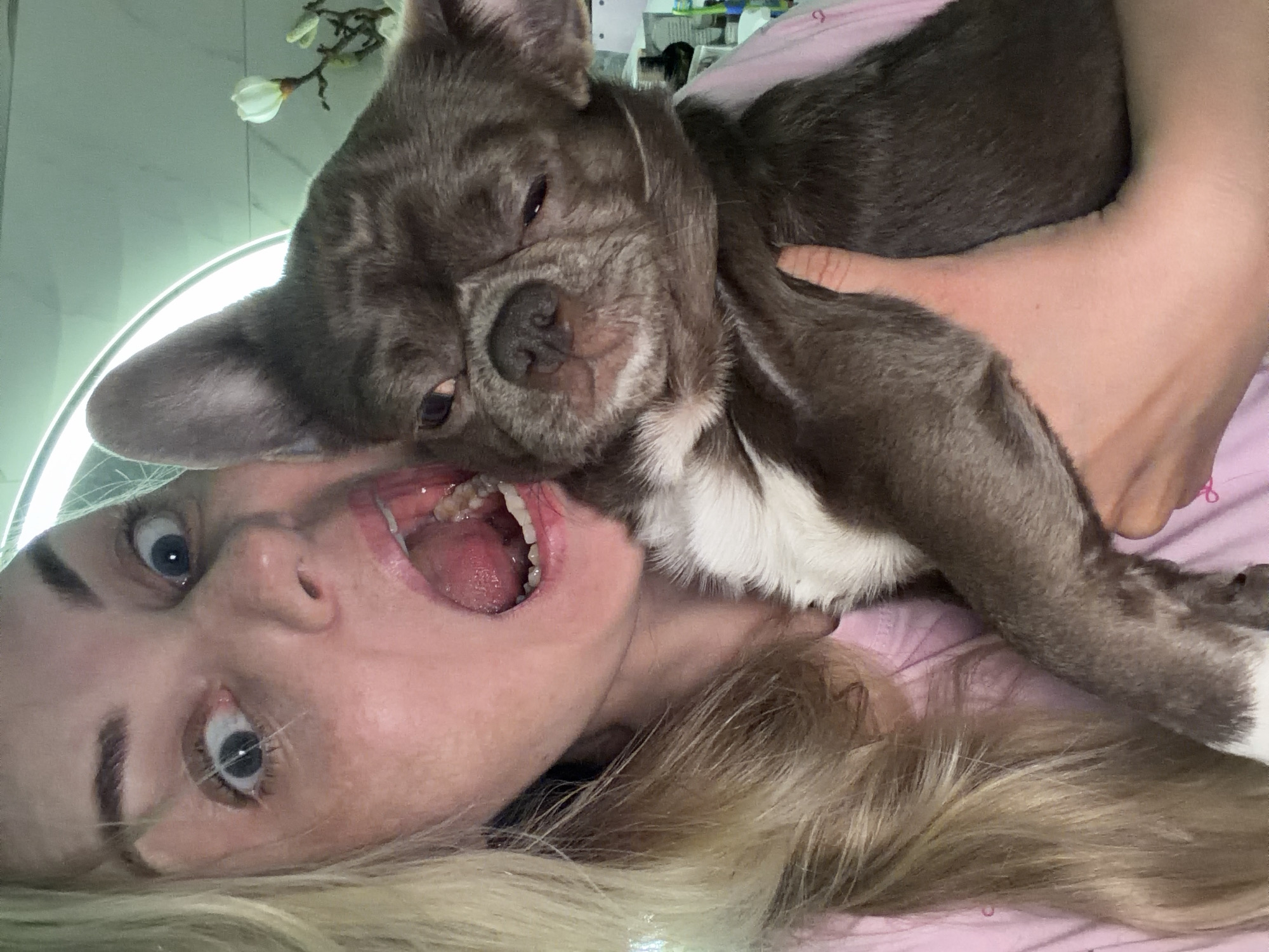 A close-up, selfie-style image shows a woman with blonde hair holding a small, grey French bulldog. The woman has wide, startled eyes and her mouth is open. She is wearing a pink top. The dog appears to be partially asleep or drowsy, with its eyes partially closed. The background is a blurred indoor setting, with a ring light visible in the upper left corner and a wall with a floral decoration on the right. The scene appears to be in a private residence. There is no information in the image to indicate a specific location in Votkinsk, Russia.