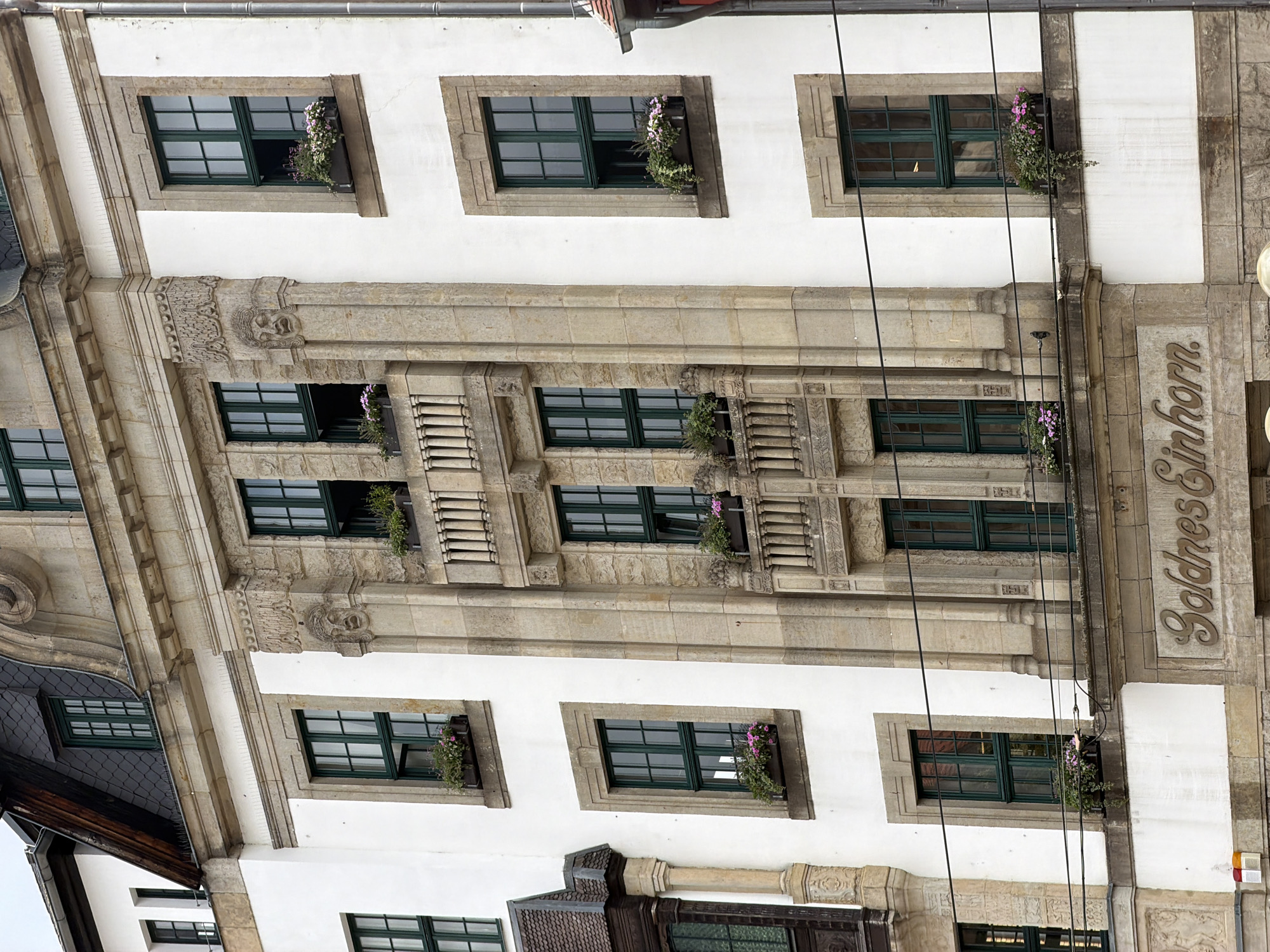 The image shows a portion of the facade of the "Goldnes Einhorn" building, located in Erfurt, Germany. The building is characterized by its white plaster walls and stone accents, featuring multiple windows with dark green frames. Some of these windows have flower boxes filled with green plants and pink flowers. The architectural style appears to be historical, with ornate stone carvings, including a mask-like decorative element above a balcony. Several horizontal wires, likely power or telecommunication lines, are visible across the lower part of the facade. No people are present in the image. The sky above is overcast.
