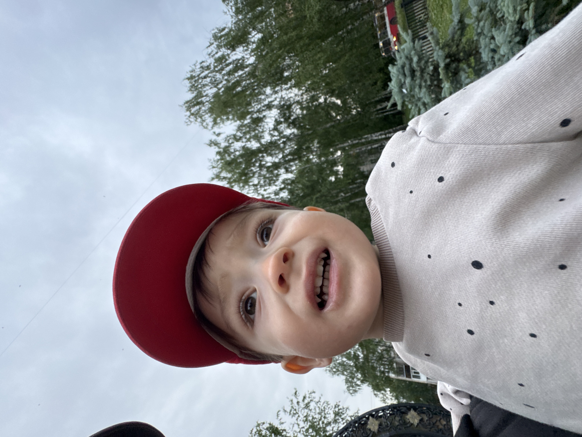 A young child, approximately a toddler, is depicted in a low-angle, eye-level close-up, situated outdoors in the city of Izhevsk, Russia. The child wears a bright red baseball cap and a light beige or grey long-sleeved sweater with scattered black polka dots. Their face is clean, with dark eyes directed upwards and to the right of the frame, and their mouth is slightly open, revealing several small, developing teeth.
The immediate background to the left features a partial view of a dark garment, suggesting the child is being held or carried by an individual. Further into the background, an urban environment under an overcast grey sky is visible. Numerous trees are present, including deciduous trees with light-colored bark on the left and mid-right, and bluer-green coniferous trees (spruce) in the lower right. A red and white urban bus is partially visible on the right side of the frame, moving from left to right, indicating the presence of a street or road. A light-colored fence is situated between the bus and the nearer evergreen trees. A dark, ornate metal object, potentially part of a bench or railing, is partially visible on the far left foreground. A multi-story building can be faintly seen in the distance behind the trees.