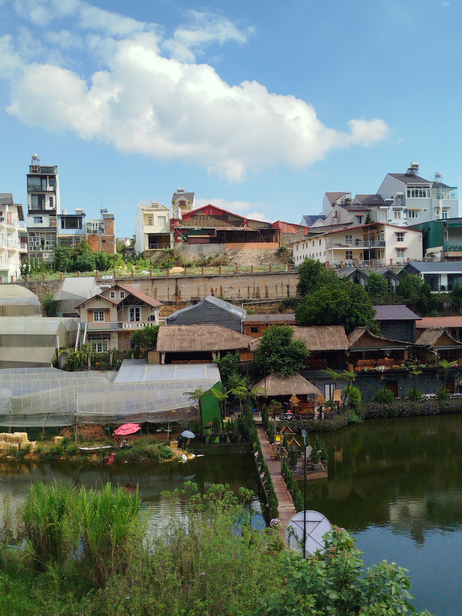 The image depicts a view of a lake surrounded by buildings and vegetation in Da Lat, Vietnam.
In the foreground, there is a body of water, likely a lake, with reeds and other greenery growing along its edge. A white satellite dish is visible on the right bank.
A wooden bridge leads to a structure with a thatched roof, resembling a cafe or restaurant, near the center of the frame.
Several greenhouses, covered in transparent material, are positioned along the lakeside. A red umbrella is partially visible next to one of the greenhouses.
In the background, there are numerous buildings of varying heights and architectural styles, including some with red tile roofs and others that are multi-story and modern.
The sky is blue with scattered white clouds.