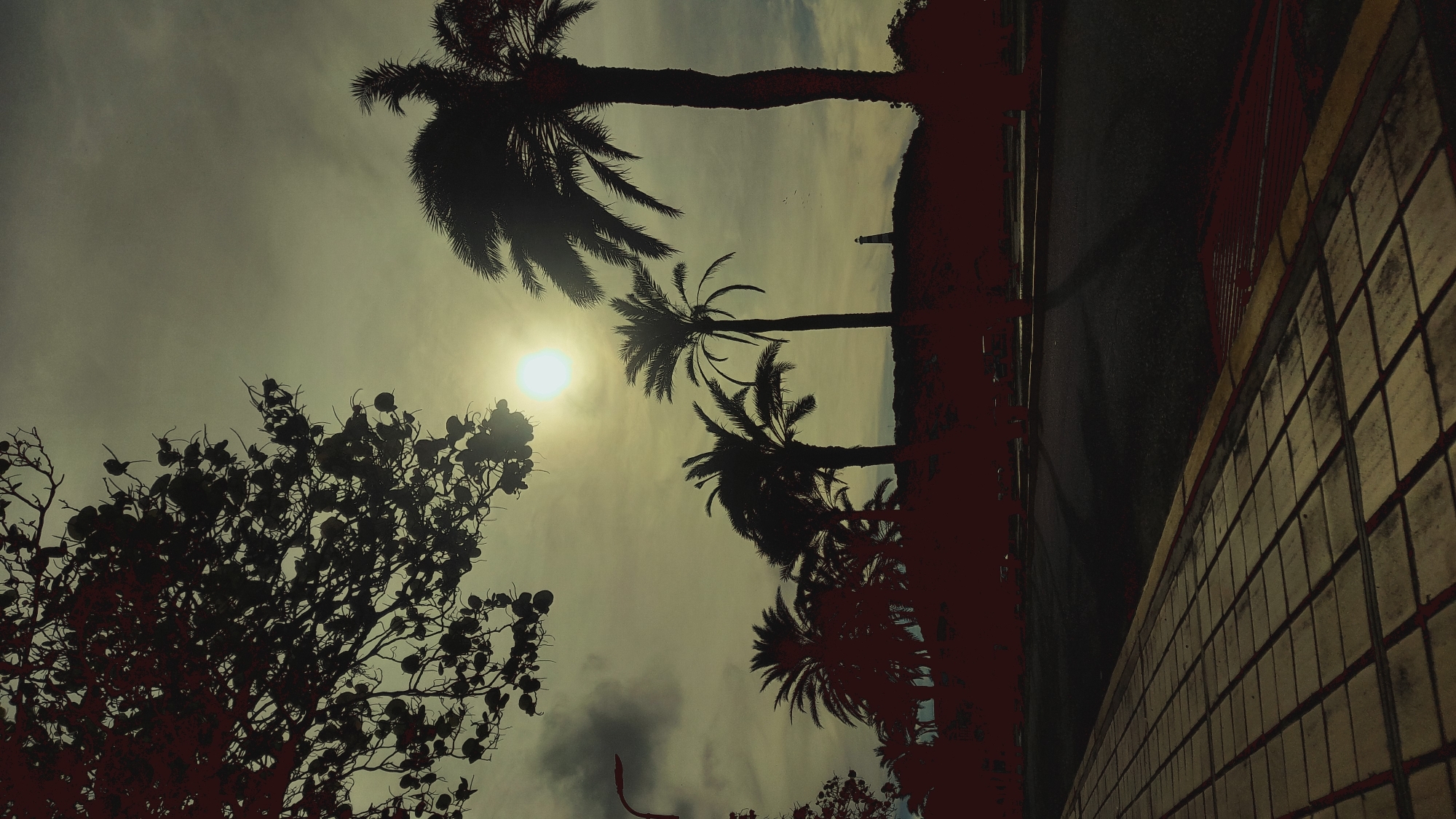 The image depicts a silhouetted view of a tropical landscape at dusk in Pedro González, Venezuela. In the foreground, a paved walkway with square tiles runs diagonally from the bottom left towards the right. Beyond the walkway is a dark asphalt road, casting long shadows. A row of palm trees stands silhouetted against a hazy sky, with the sun partially obscured by clouds, casting a bright glow. In the distance, atop a hill, a small lighthouse is visible. The lower portion of the image, particularly in the middle ground and background, is overlaid with a dark reddish hue, obscuring details of what appears to be vegetation or structures. The overall impression is one of a serene, end-of-day scene with a distinctly tropical feel.