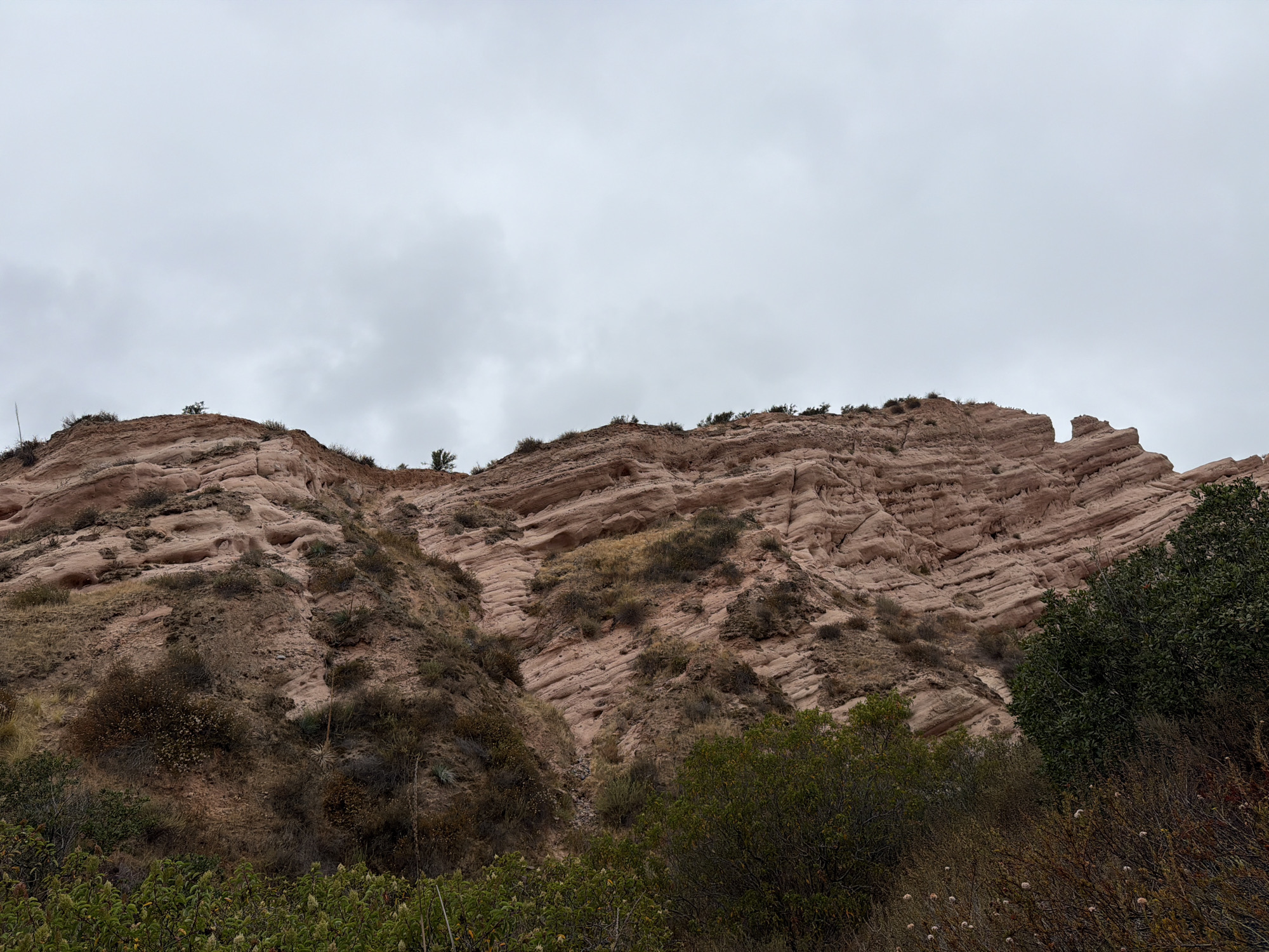 The image displays a landscape view of a rocky hillside with sparse vegetation under a cloudy sky. The hillside is characterized by layers of reddish-brown rock formations that have been eroded into textured patterns, with some areas showing small caves or hollows. Various types of shrubs and grasses grow on the slopes and in the foreground. The scene appears to be in a natural, undeveloped area, likely part of a park or open space. Based on visual cues such as the rock formations and vegetation, this could be Red Rock Canyon in Lake Forest, California, an area known for its distinctive sandstone cliffs. There are no people or animals visible in the image. The overall lighting is diffused, consistent with an overcast day.