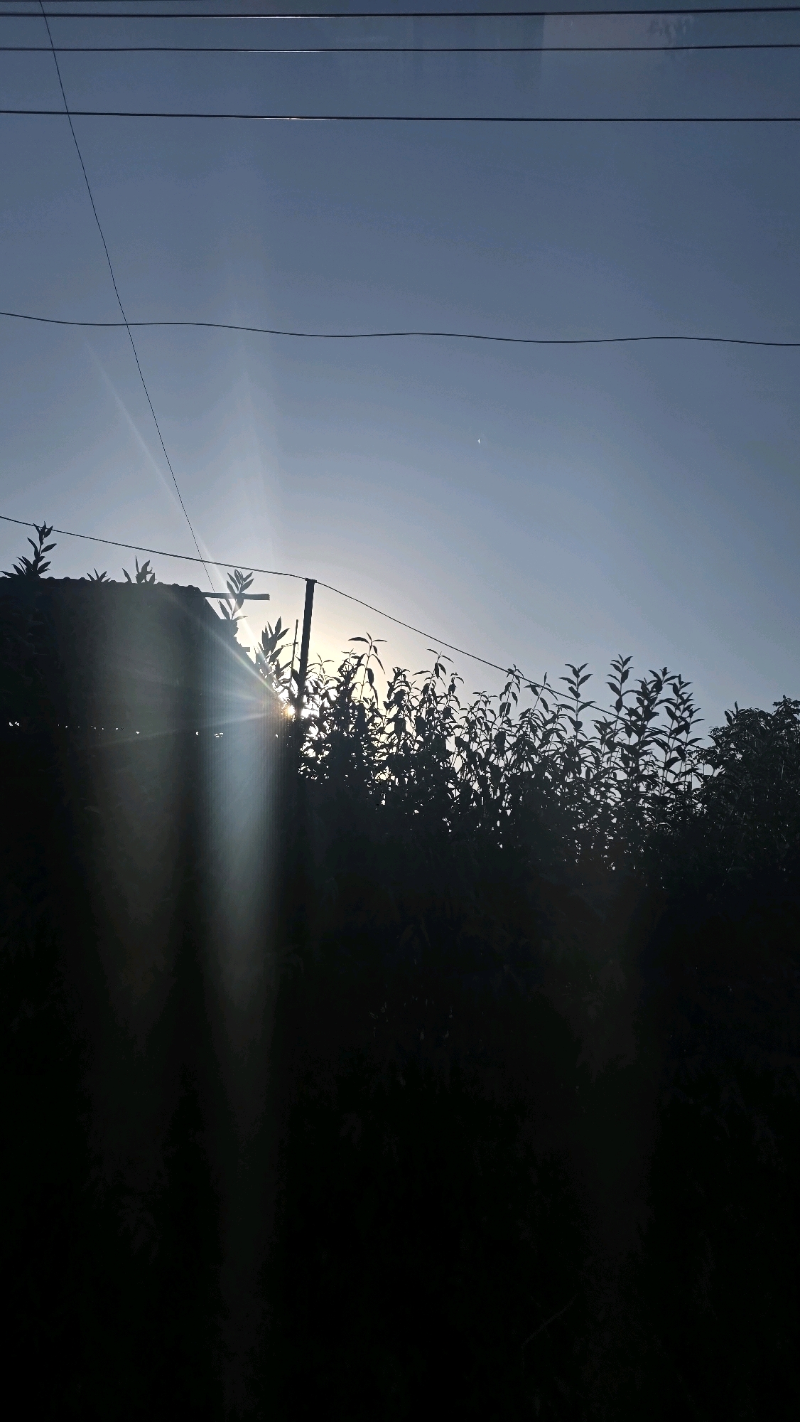 In Tokmok City, Kyrgyzstan, the image captures a silhouette of foliage and a roof against a pale blue sky. The sun, partially obscured by the foliage, casts strong rays of light that create a lens flare effect. Several wires are visible horizontally across the sky, suggesting an urban or semi-urban setting. The foreground is dominated by the dark shapes of trees and a roof, with the sun's glare creating a stark contrast and obscuring details in that area. A thin, vertical pole stands to the right of the sun, further silhouetted by the bright light.