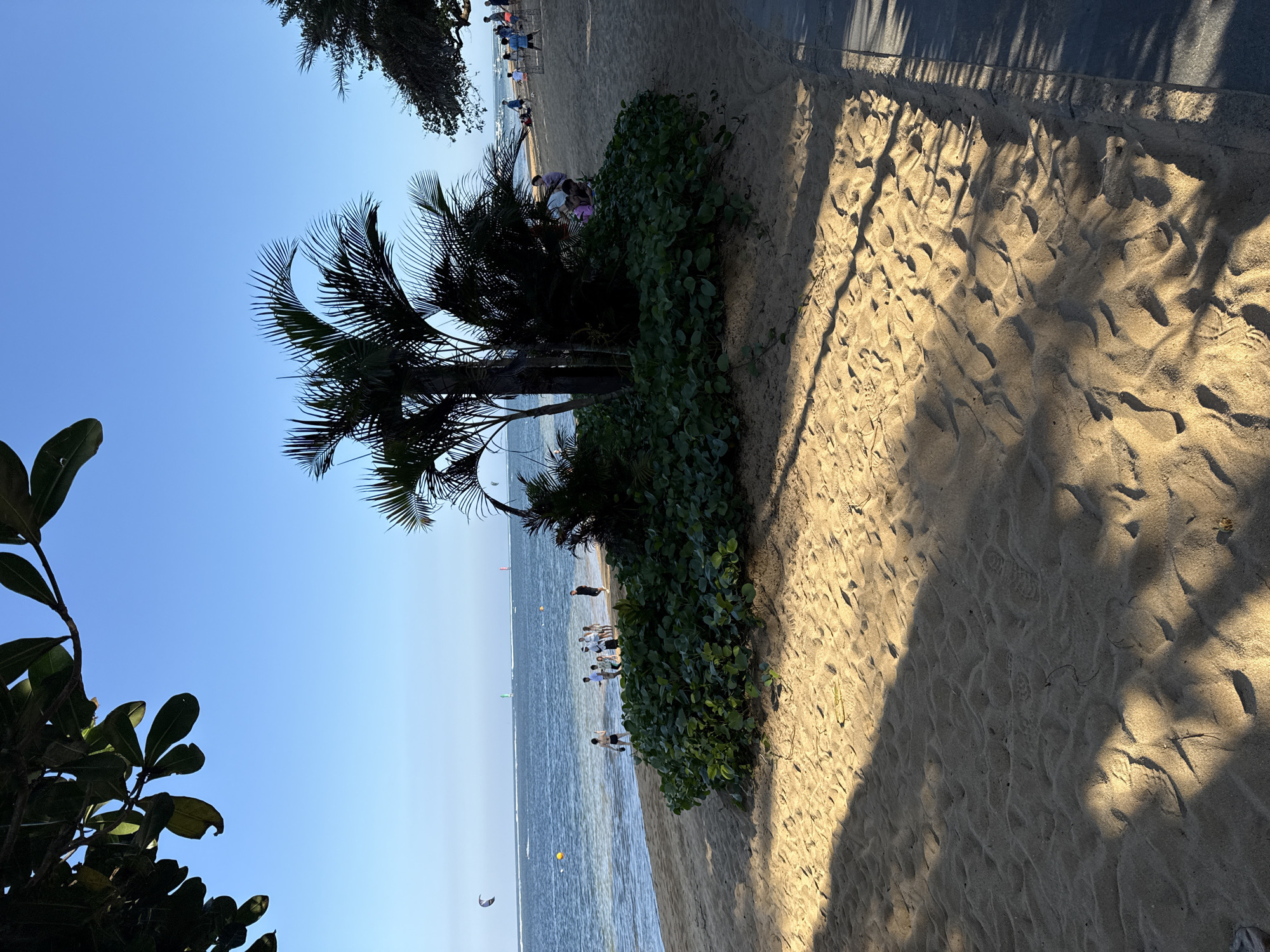 This image depicts a sunny day at a beach, likely located in Denpasar, Indonesia, given the presence of palm trees, clear blue sky, and tropical vegetation. The foreground is dominated by a sandy beach with tire tracks and shadows cast by trees overhead. In the midground, a dense cluster of green bushes and palm trees stands out, with a group of people gathered near the water's edge.
The water is calm and a light blue, with gentle waves lapping onto the shore. Several individuals are visible in the water and on the sand, some appearing to be engaged in activities like walking or playing. In the distance, the ocean stretches to the horizon under a clear sky, with a few colorful kitesurfing sails visible. The overall atmosphere suggests a relaxed and pleasant day at the beach.