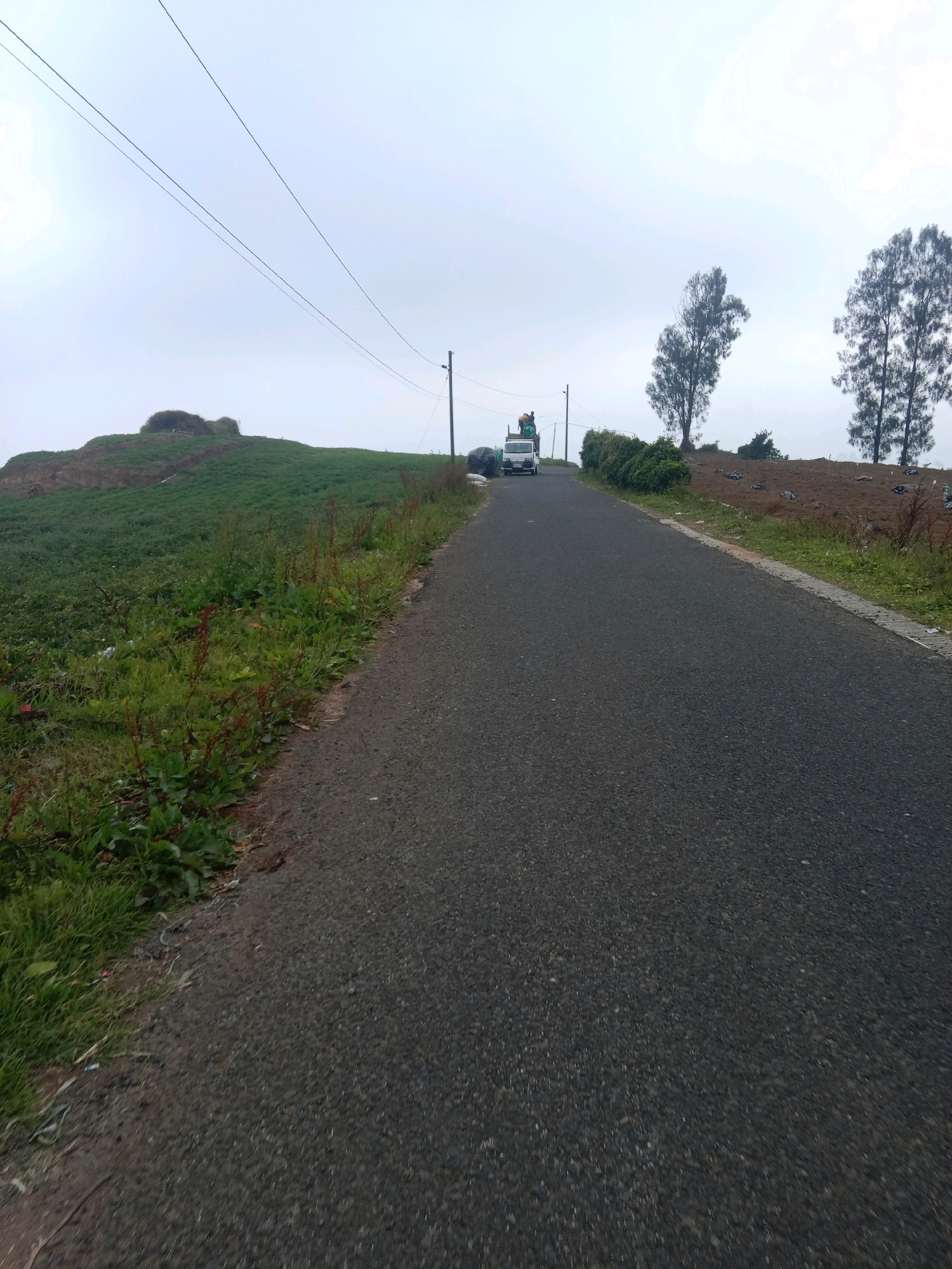 In Batur, Indonesia, a grey asphalt road curves gently upwards, bordered on the left by a lush, green grassy slope dotted with small weeds and some scattered debris. On the right, the road edges are lined with a sparse brown field, some green bushes, and a few leafless trees. In the distance, a small white truck is driving up the road, carrying a load of goods, with two figures visible in its bed. Overhead, the sky is a hazy, pale grey, with power lines stretching across the frame. The overall impression is of a rural, overcast day in a hilly landscape.