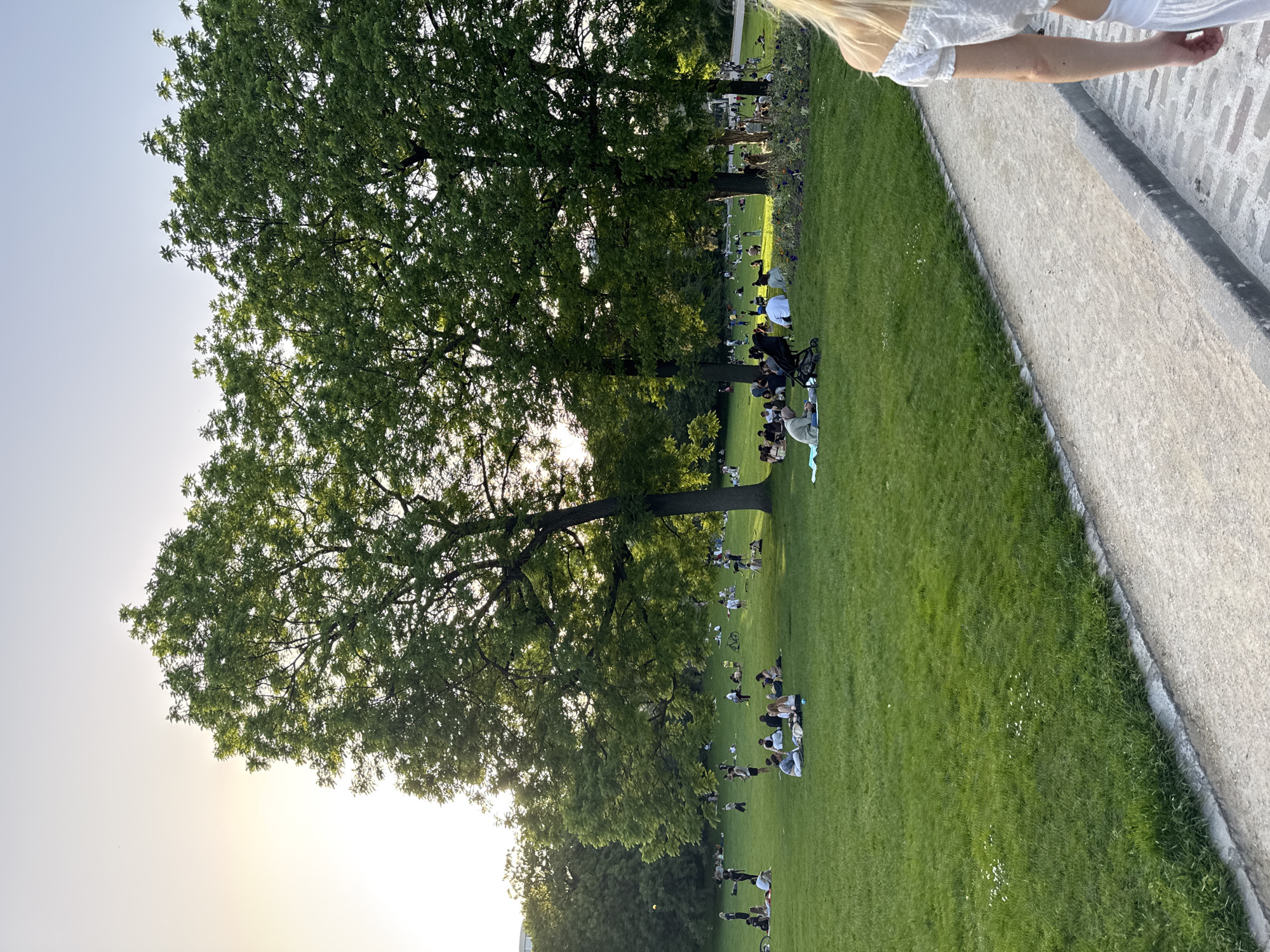 The image depicts a park in Paris, France, filled with people. Numerous individuals and small groups are scattered across the grassy lawn, most of them sitting or reclining on blankets. Many appear to be relaxing, picnicking, or socializing. Large trees cast shadows on the grass, providing shade. A path or walkway borders the lawn.