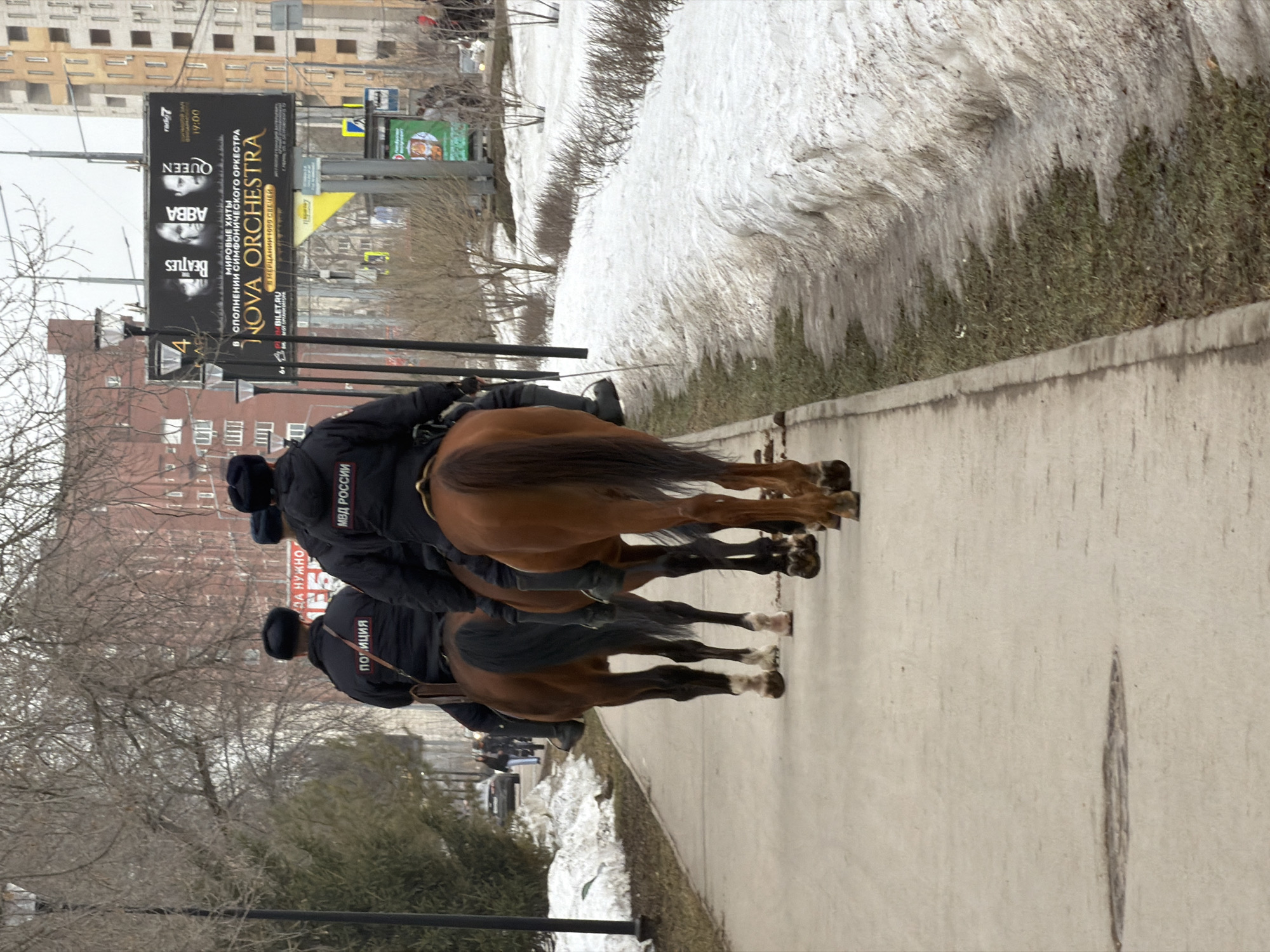 The image depicts three mounted police officers riding bay horses along a paved urban pathway in Perm, Russia. The location is identified by a phone number with the (342) Perm area code on a background billboard. The scene suggests late winter or early spring, with bare tree branches and residual snowdrifts.
The three individuals are viewed from the rear, wearing dark, heavy police uniforms. The officer on the leftmost horse has "ПОЛИЦИЯ" (Police) in white Cyrillic letters across their upper back, while the other two officers display "МВД РОССИИ" (Ministry of Internal Affairs of Russia). All wear dark headwear. The horses are bay, characterized by brown coats, black manes, tails, and lower legs, with visible white markings on their hooves and lower legs. They proceed in a single file or close succession.
To the immediate left of the pathway is a narrow strip of browning grass, followed by evergreen shrubs and deciduous trees with bare branches. Further left, a light-colored vehicle is partially visible on an unseen road. To the right of the pathway, a prominent snowdrift lines the edge, bordering a patch of sparse, brown grass. The ground of the pathway is a light-colored paved surface, showing minor discoloration.
In the mid-ground and background, multiple multi-story buildings are visible, including a tall residential high-rise with numerous windows on the far right. A large black billboard dominates the right background, advertising "NOVA ORCHESTRA" with images of The Beatles, ABBA, and Queen, and Russian text indicating "World Hits performed by a symphony orchestra." The billboard also displays "radio 7," "19:00," and the Perm phone number (342) 203-03-33. Several black streetlights are positioned along the pathway and near the billboard. The sky is overcast and light gray.