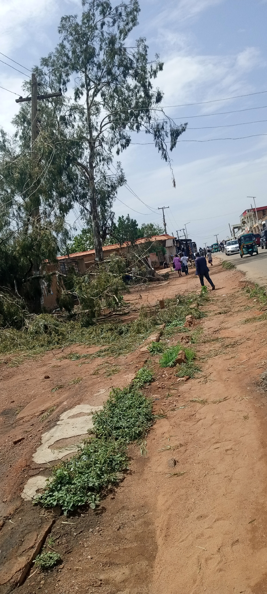 The image depicts an outdoor scene in what appears to be an urban setting in Unknown, Unknown. A large tree stands on the left, with many of its branches broken and scattered across the ground. A utility pole with electrical wires is visible nearby, suggesting the tree or its broken limbs might have affected the power lines.
On the right, there is a street with vehicles including a car and what looks like a tricycle. People are walking along the side of the road, with one man in a suit prominent in the foreground. The ground appears to be dirt or sand, with patches of green vegetation growing along the edge of what may be a sidewalk. In the background, buildings and more people are visible, indicating a populated area.