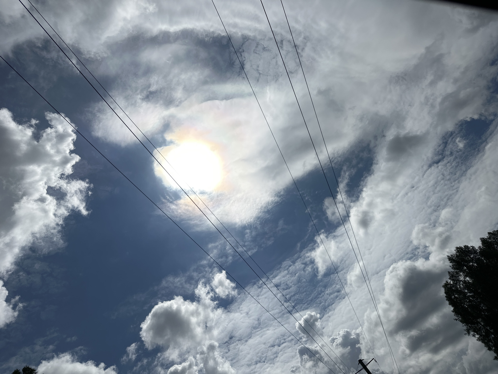 The image depicts a view of the sky with clouds and power lines. The sun is visible, partially obscured by clouds, creating a halo effect with iridescent colors. The clouds are varied in texture and density, with some appearing bright white and others darker and more shadowed. Four parallel power lines run diagonally across the frame from the upper left to the lower right. At the bottom left, the silhouette of a tree is visible, along with a portion of a utility pole. The scene appears to be an outdoor shot taken on a sunny day with scattered cloud cover. There are no people or animals visible in the image. The location is specified as Новая Казмаска, Russia.