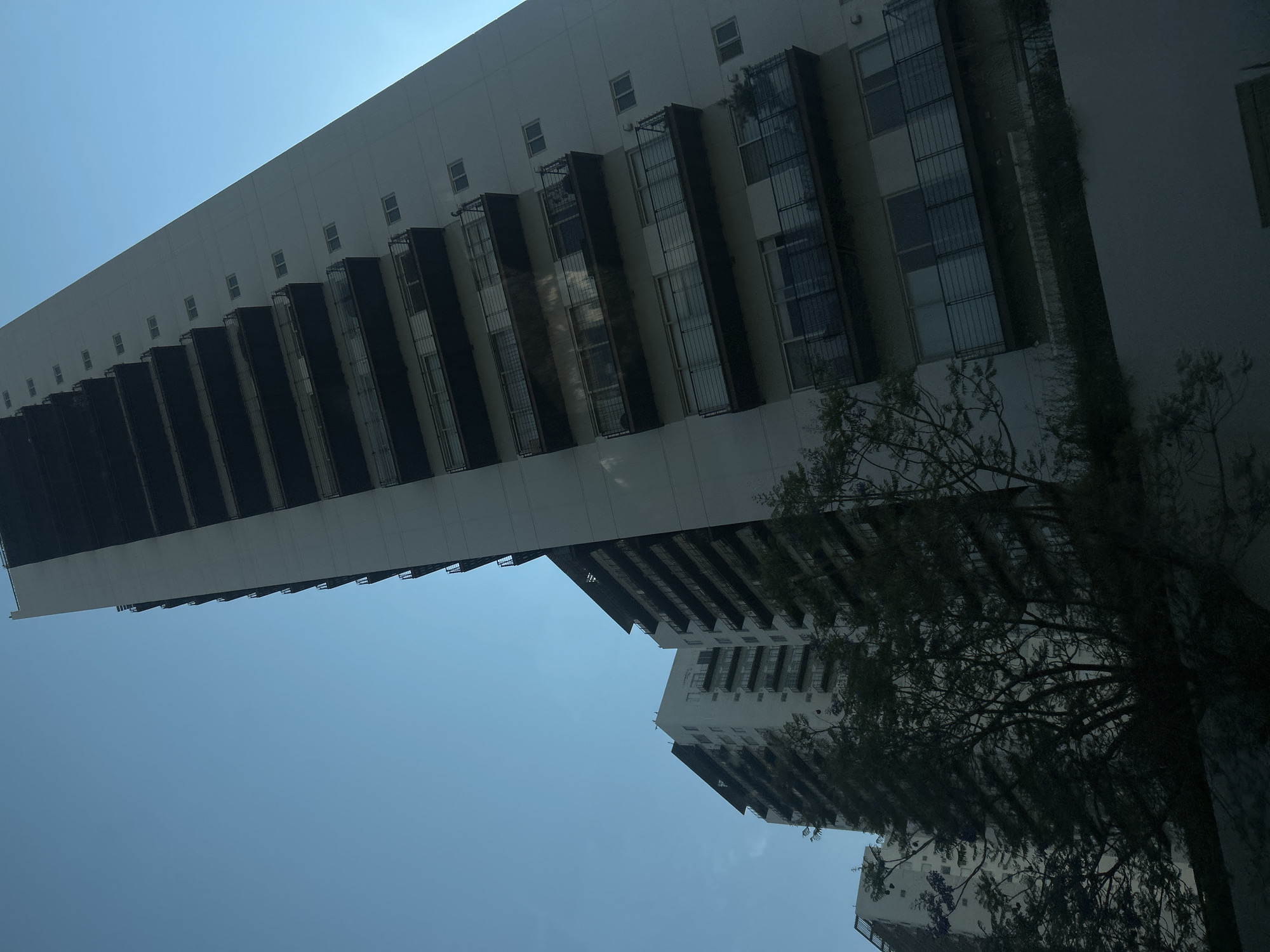The image depicts a low-angle view of modern buildings in San Bernardino Tlaxcalancingo, Mexico, against a clear blue sky. The structures are predominantly white with dark, recessed window areas and possible balconies. A bare tree partially obscures the view of the buildings. The angle suggests the photo was taken from street level.