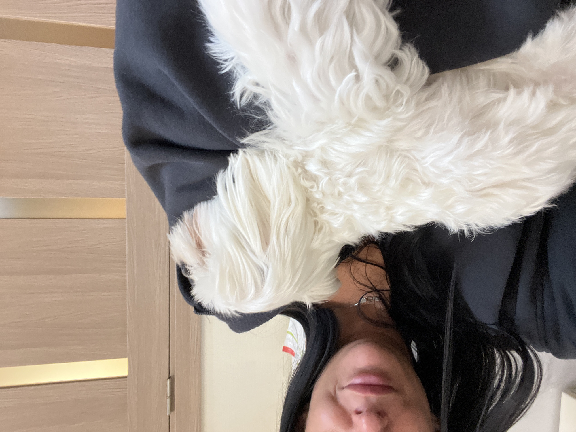 A close-up indoor portrait captures a woman with long, dark hair and fair skin holding a small, white fluffy dog. The woman's face is partially visible, with her lips slightly parted and her eyes looking away from the camera. She is wearing a dark-colored top, possibly a sweatshirt, which also drapes over the dog. The dog is lying in her arms, facing to the right of the frame, with its white fur appearing soft and somewhat disheveled. The background consists of a light-colored wall and a wooden door with horizontal paneling and a golden accent strip. The lighting suggests an indoor setting, possibly a room in an apartment or house. There is no discernible indication of the city of Saint Petersburg, Russia, within the image content.