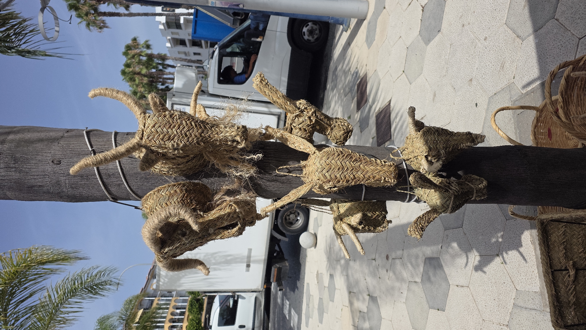 The image depicts a street scene in Almuñécar, Spain, where several woven straw animal heads, resembling bulls or donkeys, are hanging from a palm tree trunk. The foreground shows the base of the palm tree and a section of a paved sidewalk with a hexagonal pattern. In the background, a white delivery truck is parked, and a person is visible in the driver's seat. Beyond the truck, there are buildings with balconies and palm trees, suggesting a commercial or residential area. The sky is clear and blue, indicating a sunny day. Some woven baskets are also visible on the ground in the lower portion of the image.