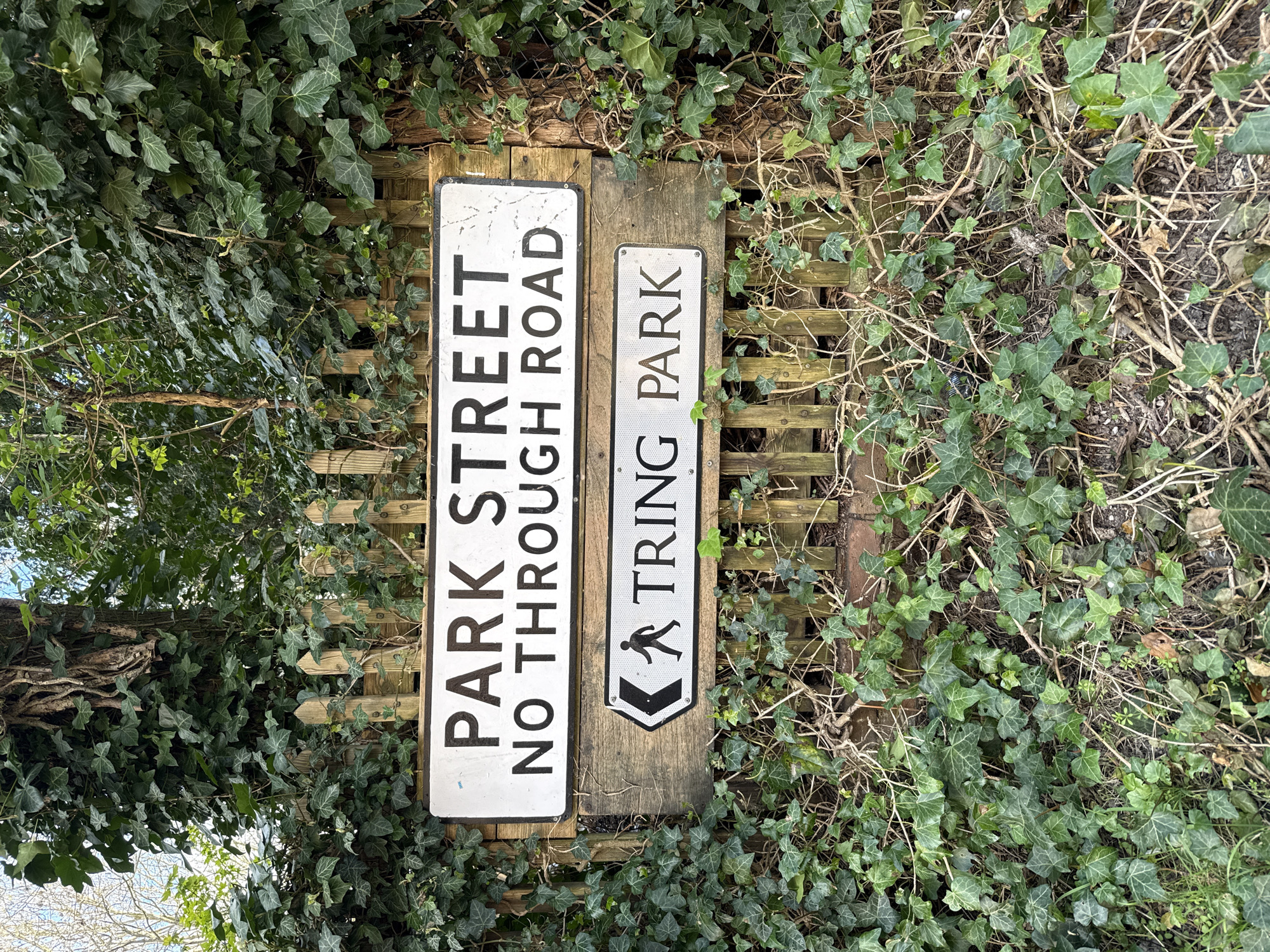 The image shows a signpost indicating "Park Street" with "No Through Road" written underneath, and a second sign below pointing towards "Tring Park." The signpost is mounted on a wooden fence, heavily overgrown with ivy and other foliage. The overall environment suggests a green space or park area, given the abundance of plant life. Based on the name "Tring Park," the location is likely near Tring, a town in the borough of Dacorum, United Kingdom.