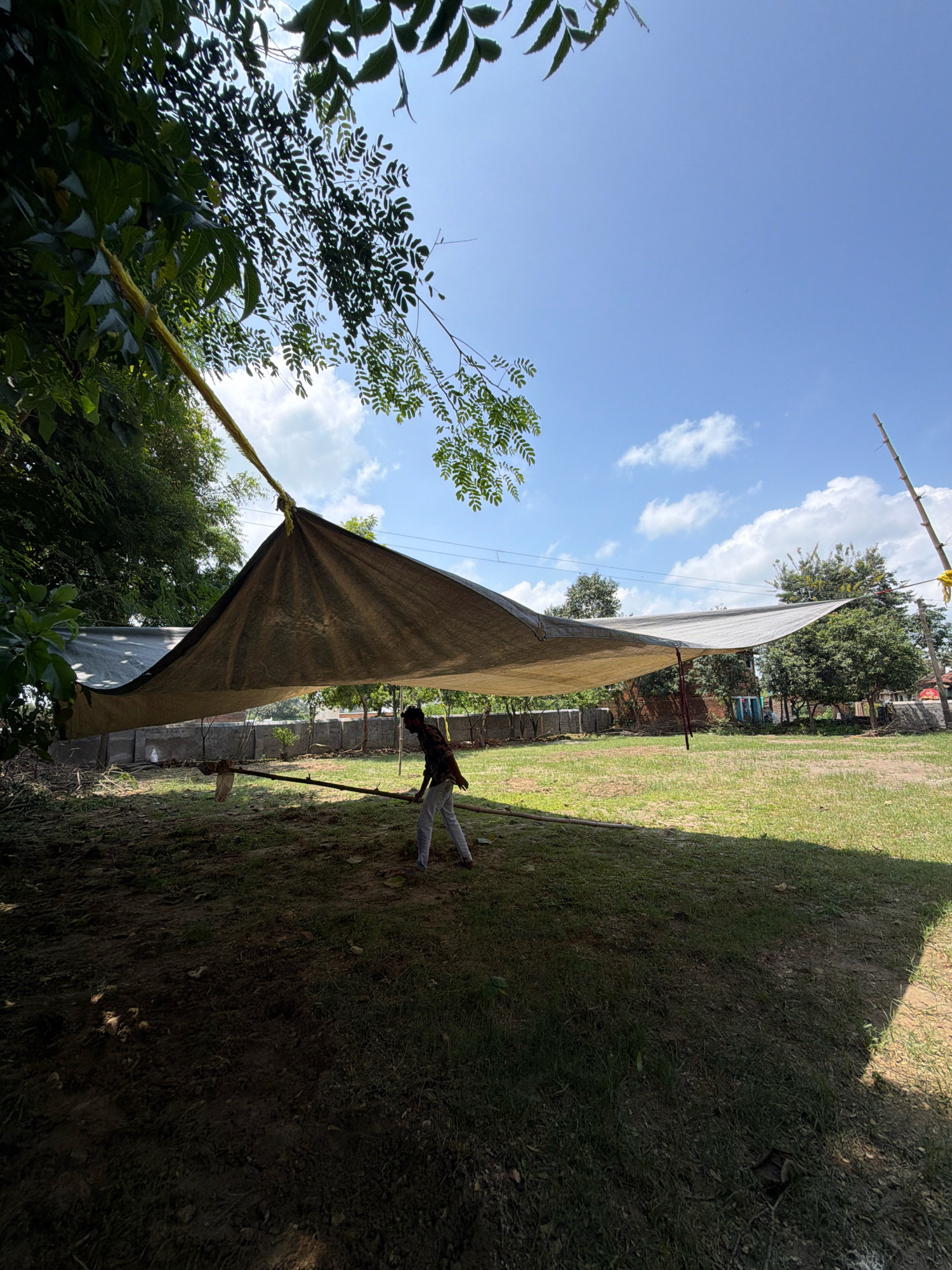 In Bodma, India, a man is seen working under a large, brown tarp supported by poles and ropes. The tarp is stretched between two poles and extends over a grassy area with some dirt patches. The man, wearing a patterned shirt and light-colored pants, is holding a long stick or pole, seemingly adjusting the tarp. The sky is bright blue with scattered white clouds. Lush green trees are visible in the foreground and background, with some leaves obscuring parts of the sky. A concrete wall runs along the edge of the property. The scene appears to be an outdoor setup, possibly for an event or shelter.