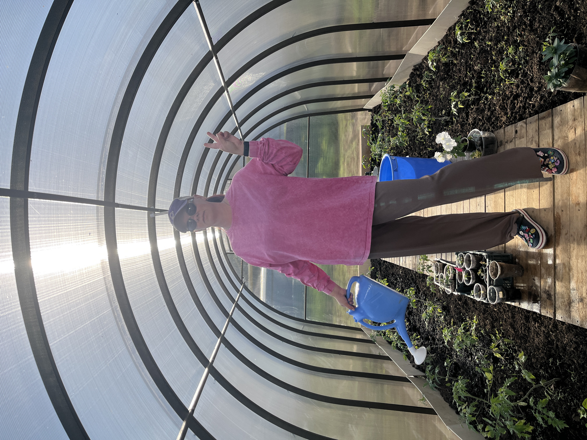 The image shows a person inside a greenhouse. The greenhouse has a rounded roof structure with transparent panels and black support beams. The person is wearing a pink long-sleeved shirt, brown pants, and patterned shoes. They are holding a blue watering can in their right hand and making a peace sign with their left hand. Plants are growing in soil on both sides of a wooden walkway inside the greenhouse. There are also several small pots with plants lined up on the walkway. A blue bucket is visible on the right side of the walkway. The light source appears to be the sun, shining through the greenhouse panels. The location is Chaikovsky, Russia.