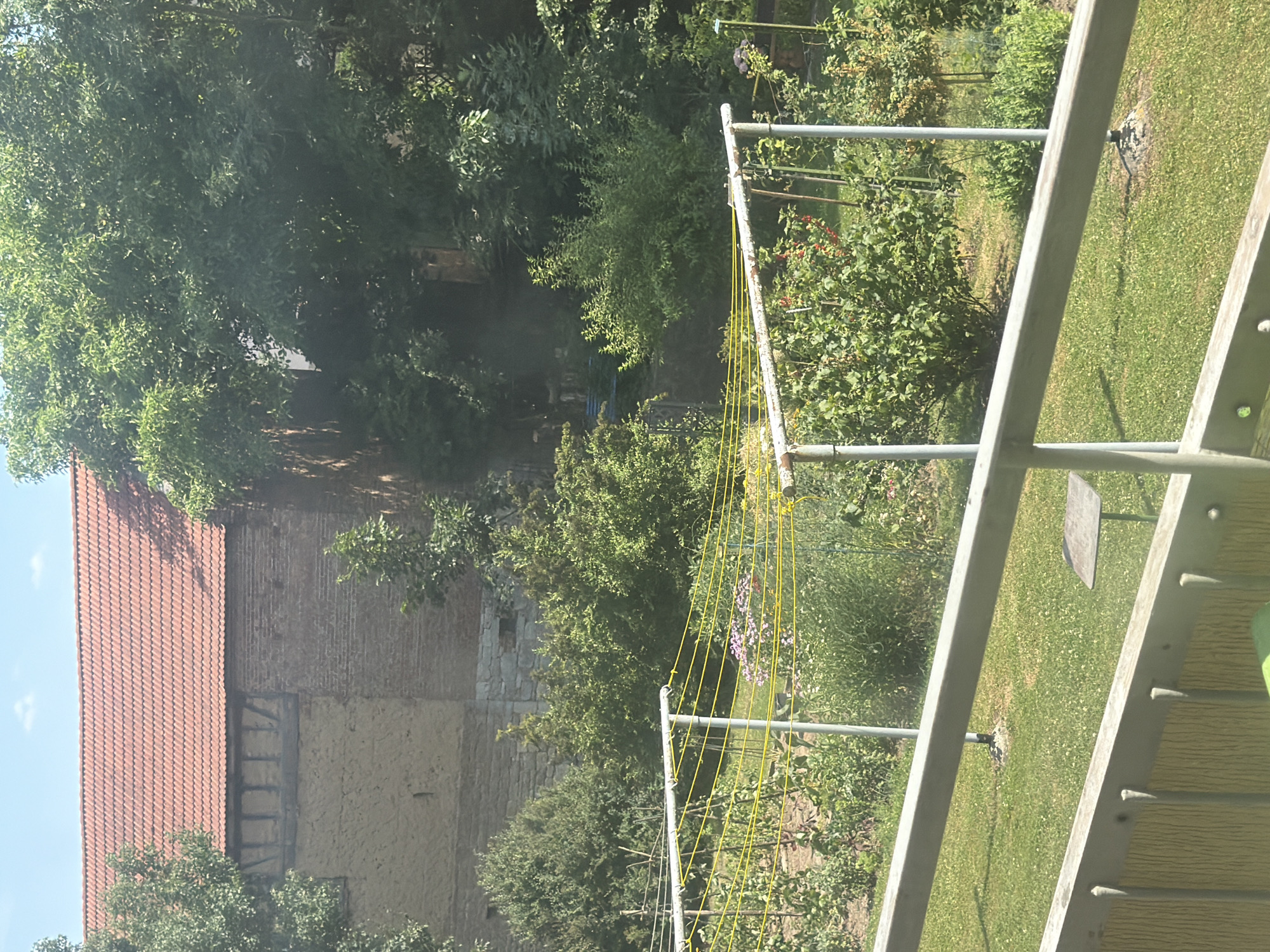 This media file captures an outdoor scene on a sunny day, likely in a rural or suburban setting. The foreground is dominated by a metal structure with yellow cords, possibly a clothesline or a garden trellis. Beyond this, a lush green lawn stretches out, interspersed with bushes and trees. In the background, a building with a red tiled roof and brick walls is visible, suggesting a residential or agricultural property.
The scene is bathed in bright sunlight, casting shadows on the grass and illuminating the foliage. The clear blue sky and the vibrant greenery indicate pleasant weather. The overall atmosphere is serene and peaceful, evoking a sense of calm and natural beauty.
There are no people visible in the image. The focus is on the natural elements and the man-made structures that are part of the outdoor environment. The building in the background, with its rustic architecture, hints at a location with a history or traditional character. The image seems to be a snapshot of a typical summer day in a garden or backyard.
