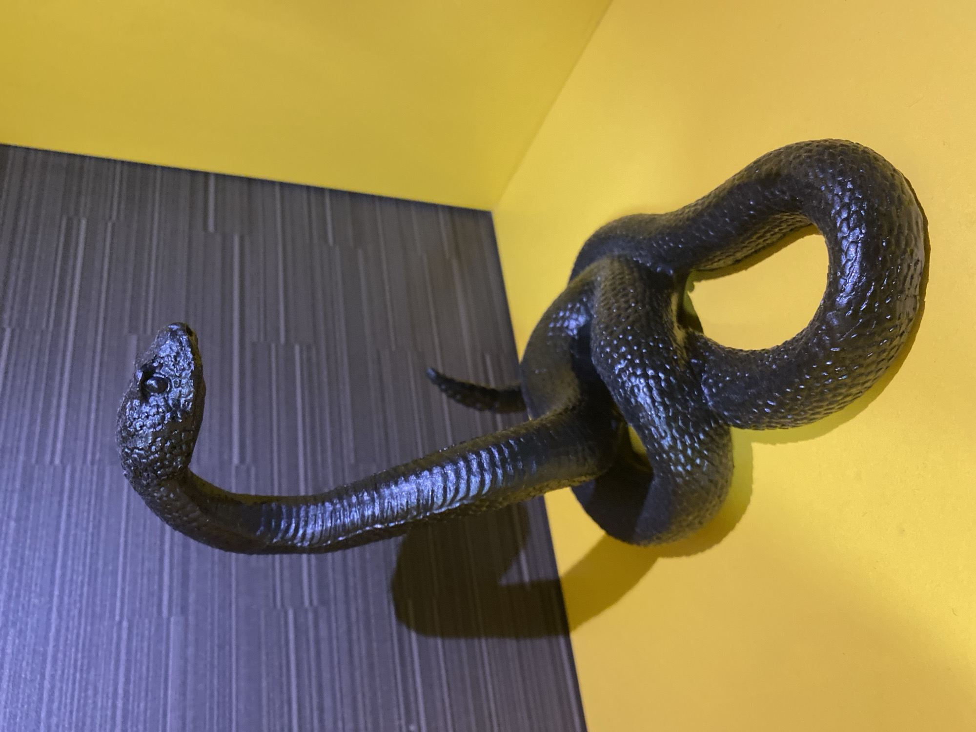 A black snake statue is mounted on the corner of a wall, with one wall painted yellow and the other dark gray with vertical lines. The snake's body is coiled, and its head faces the gray wall. The location is presumed to be Varna, Bulgaria, based on the request. No people, actions, or interactions are visible.