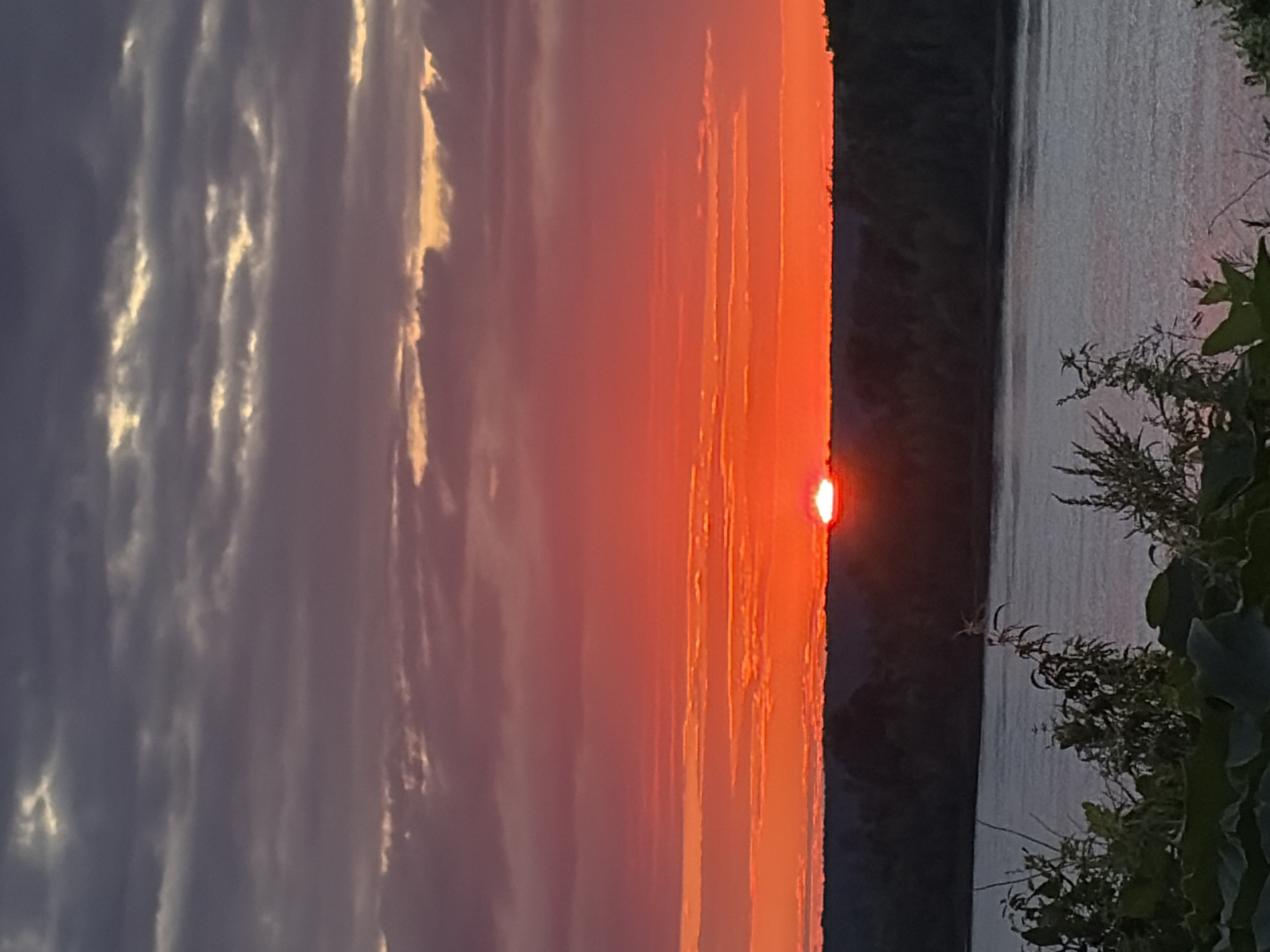 The image depicts a vibrant sunset over a body of water, likely a river, with a dense, dark treeline forming the horizon. The sky is a dramatic display of color, transitioning from deep grays and purples in the upper portion to fiery oranges and reds closer to the horizon where the sun is setting. The sun itself appears as a bright, glowing orb, partially obscured by the horizon. In the foreground, the water reflects the colors of the sky, creating a shimmering effect. The banks of the river are lined with dark foliage, and some plants and leaves are visible in the immediate foreground, adding a natural element to the scene. The overall impression is one of natural beauty and tranquility, characteristic of a sunset in a rural or natural setting. The location of Olkhovka, Russia, is not directly represented or implied by any visual cues in the image.