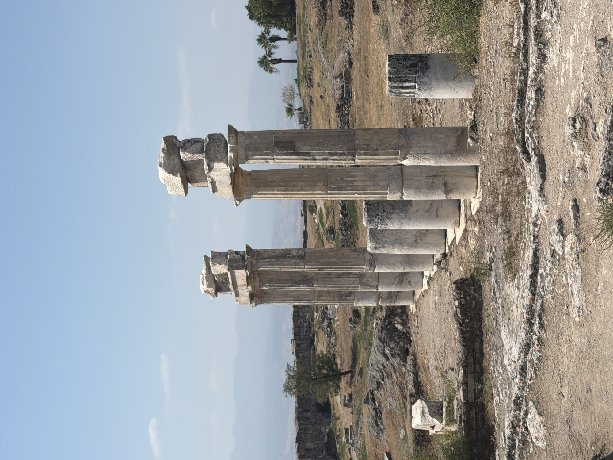 The image depicts an outdoor scene with ancient ruins under a clear blue sky with scattered clouds. In the foreground, a row of tall, weathered stone columns stands on a dry, dusty ground littered with rocks and debris. Some of the columns are intact and appear to be part of a larger structure, while others are broken or incomplete. Behind the columns, a stone wall runs horizontally across the mid-ground, with a lone tree growing in front of it. Further in the background, rolling hills and mountains are visible, with a few palm trees dotting the landscape. The overall environment appears to be arid and historical, consistent with the archaeological site of Pamukkale, Turkey, known for its well-preserved ancient ruins. There are no people visible in the image.