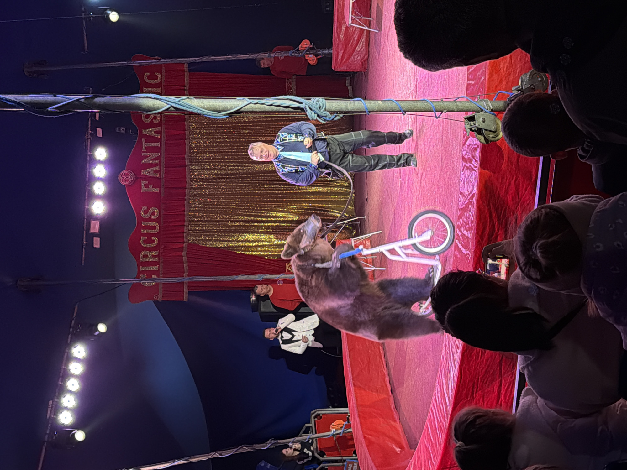 The scene is a circus performance, likely in Chernogolovka, Russia. A brown bear is prominently featured, appearing to balance on a small bicycle on the circus ring. A man in a blue jacket and black pants is standing on the ring, potentially interacting with the bear or directing its actions. Another person is positioned on a rope above the ring, possibly involved in the performance's mechanics. Red curtains with the words "CIRCUS FANTASTIC" in gold are visible in the background. Audience members are seen on the sides, observing the performance. Bright spotlights illuminate the stage area.