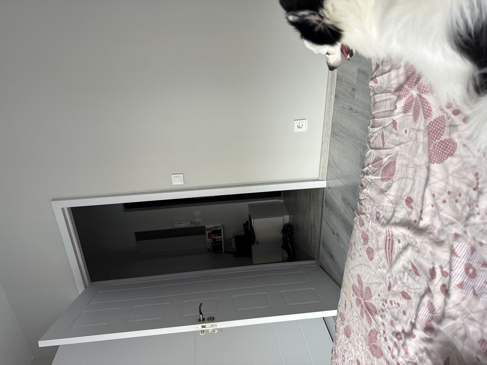 An indoor photograph captures a domestic scene, primarily focused on a dog resting on a bed and an open doorway leading to an adjacent room. The image is oriented to show the dog at the top, lying on the bed, and the open door towards the bottom right.
A black and white dog, with long, fluffy fur, is visible from its head and upper body in the top right corner. Its mouth is slightly open, suggesting a relaxed or slightly panting state. The dog is positioned on a bed covered with a light pink and white floral-patterned duvet or bedspread.
The wall behind the bed is a plain light grey or off-white. Two white electrical fixtures are mounted on this wall: a standard European two-pin power socket and what appears to be a light switch.
An open white interior door is visible towards the bottom right, revealing a view into another room or hallway. The door has a classic panel design and features a metallic, curved handle. Through the doorway, a glimpse of the adjacent space shows grey laminate or wood-effect flooring. Visible objects include a dark, low-lying piece of furniture (possibly a TV stand), a light-colored tall cabinet, a shoe rack with shoes, and some dark bags or items. The wall within this room has a grey wood-paneling effect.
The setting is a modern, clean residential interior. The dog appears to be resting. No specific event or activity is taking place. No text is visible in the image. The style of the electrical socket is consistent with the provided location context of Stara Zagora, Bulgaria.