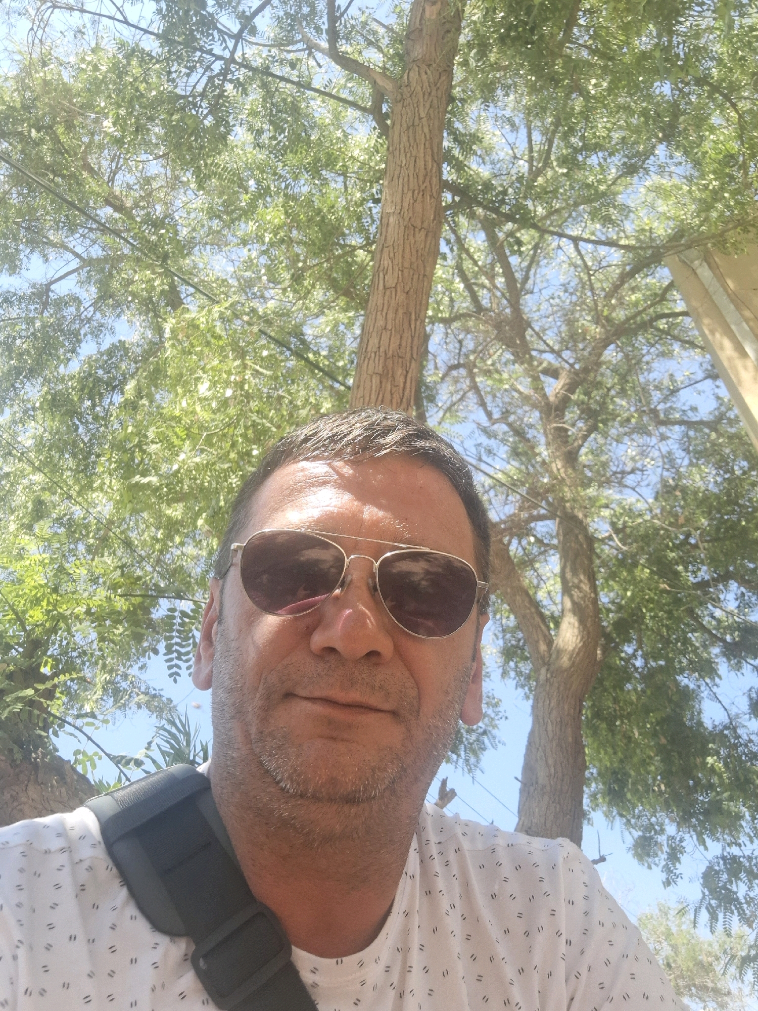 A man is taking a selfie outdoors in Dimona, Israel, on a sunny day. He is wearing sunglasses and a white t-shirt with a subtle pattern. He has a bag strap crossing his chest. The background is dominated by a large tree with lush green leaves and a clear blue sky.