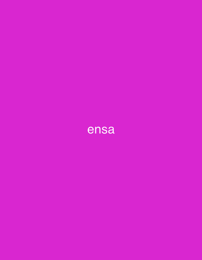 The image displays the word "ensa" in white, sans-serif, lowercase text, centered horizontally and slightly above the vertical center of a solid magenta background. This text refers to the École Nationale des Sciences Appliquées (ENSA), a prominent engineering school located in Casablanca, Morocco. The scene is purely textual and graphic, devoid of any discernible physical environment, people, or objects other than the depicted word and background color.