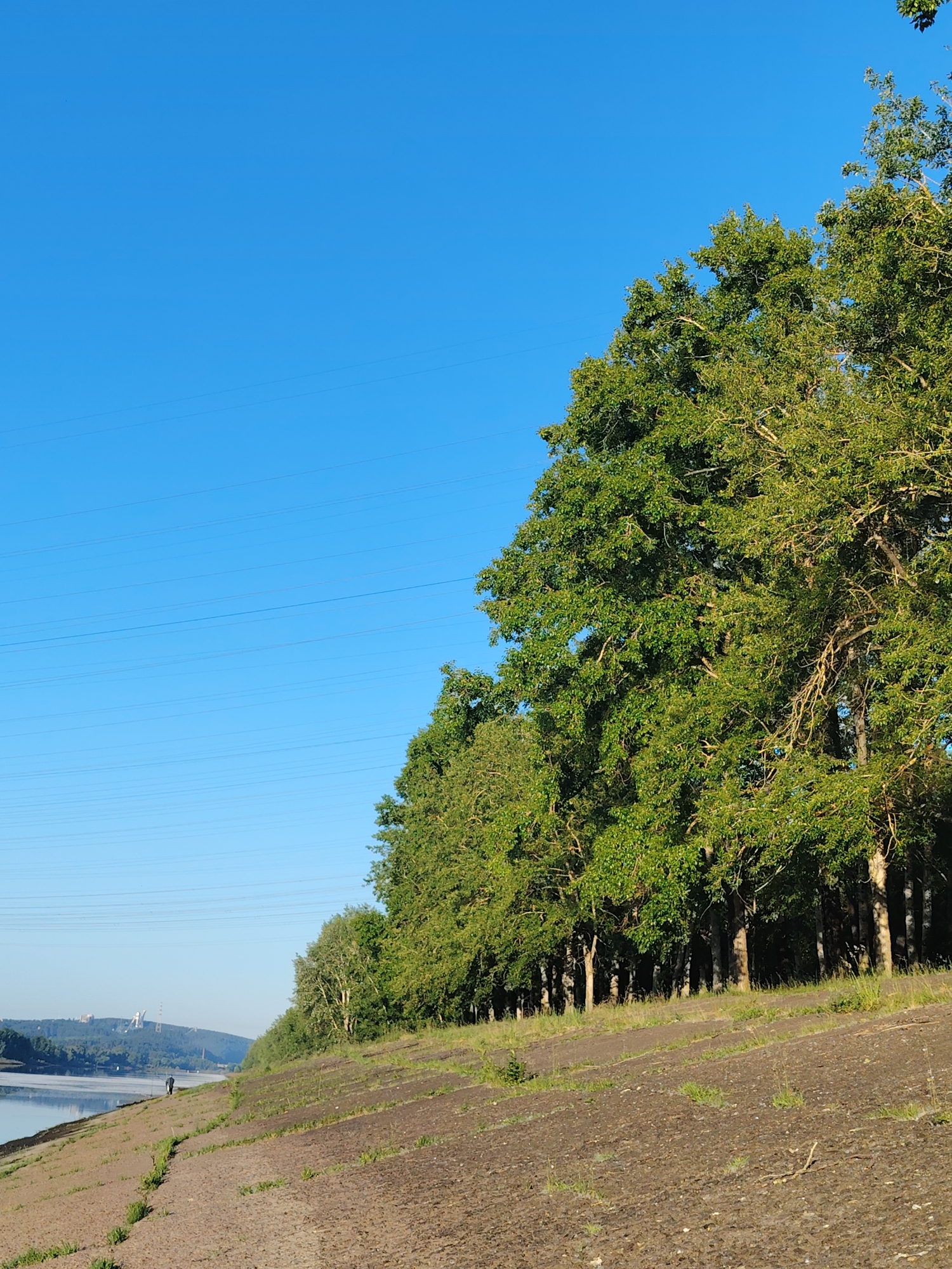 The image depicts a natural landscape with a clear blue sky dominating the upper half. A dense line of green trees runs diagonally across the frame from right to left, with their foliage illuminated by sunlight. The ground in the foreground is a rough, uneven surface of dark earth with sparse vegetation. In the distance, a body of water is visible, reflecting the sky. On the far bank of the water, a wooded hillside is dotted with structures, including what appear to be industrial facilities or power lines with tall towers. A single person is walking along the edge of the water in the middle ground. The scene appears to be a park or natural area near the Kama River in Chaikovsky, Russia, a city known for its industrial presence.