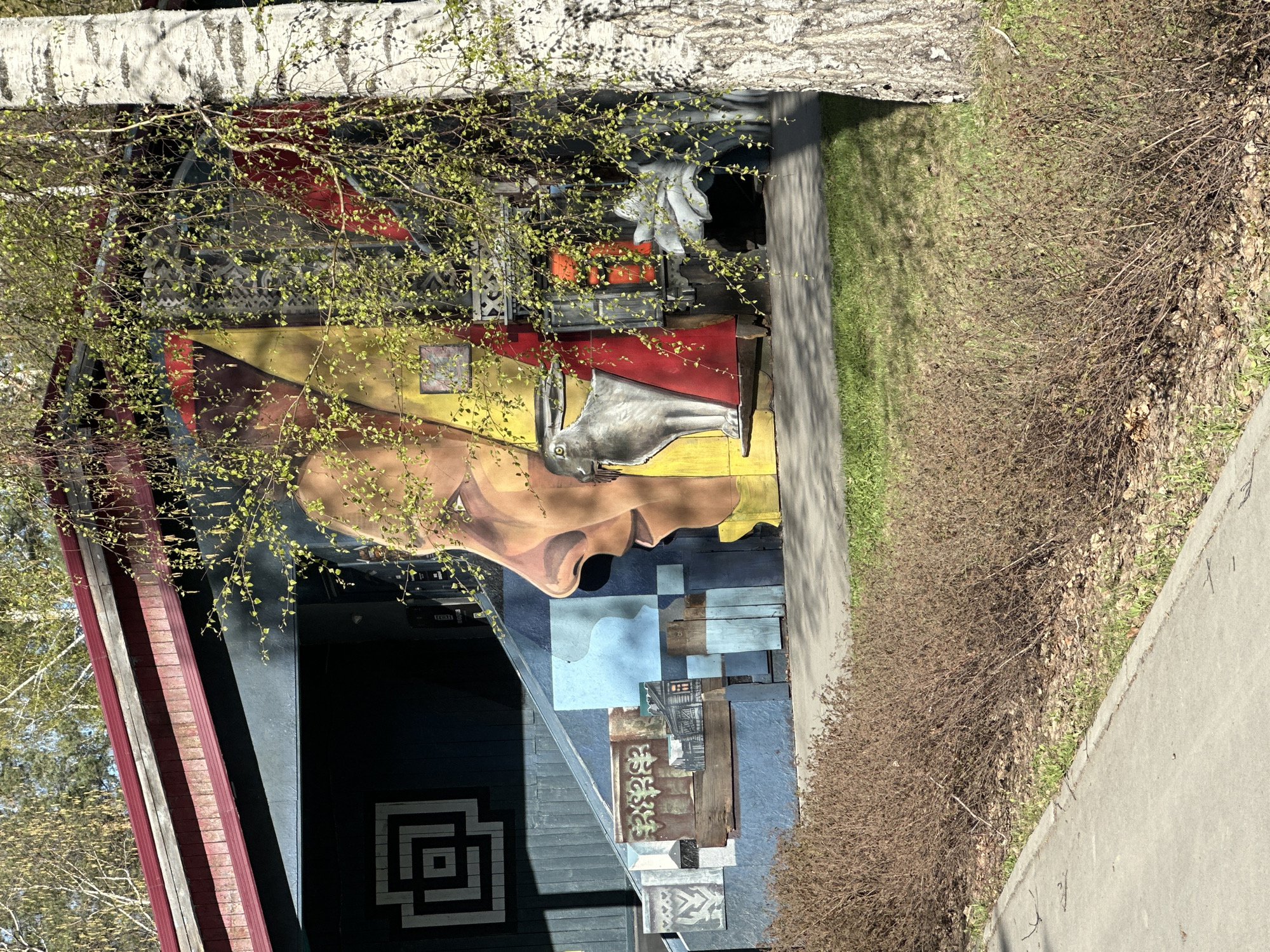 An eye-level outdoor shot depicts a building in Novosibirsk, Russia. The building is adorned with a mural depicting a face in profile, painted in shades of yellow, tan, red, and black. The face has a prominent nose, closed eyes, and a neutral expression. A painted bird or other animal image overlaps part of the face. The building's architecture is eclectic, with a black base featuring a white geometric square design. Above this, various blue, gray, and silver sections are attached, including a piece of corrugated metal with graffiti. To the left, a red-trimmed roofline suggests a slightly slanted or angled roof.
A tree trunk and branches with small green leaves partially obscure the view of the building, adding a natural element to the scene. A narrow concrete pathway runs alongside the building, separating it from a strip of grassy area. Beyond this, a dense row of dry, brown bushes lines the edge of the scene, indicating the transition to a natural, unmanaged area. The lighting is bright and suggests a sunny day. The composition is slightly rotated, which gives a dynamic perspective to the scene.