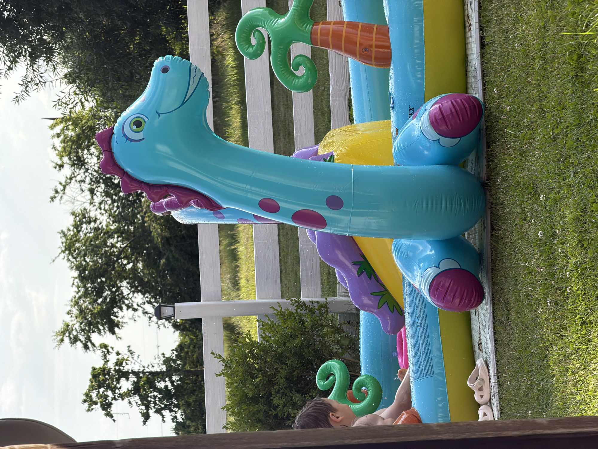 In an outdoor setting with a bright sky, a child is partially visible playing in a large inflatable pool filled with water. The pool features a prominent blue inflatable dinosaur with pink polka dots and a pink mane, and a purple and yellow slide. There are also green inflatable palm trees within the pool. The pool is set on a green lawn, with a white wooden fence in the background and trees beyond that. In the foreground, a pair of light-colored sandals rests on the edge of the pool mat. The scene appears to be a backyard or park area on a sunny day.