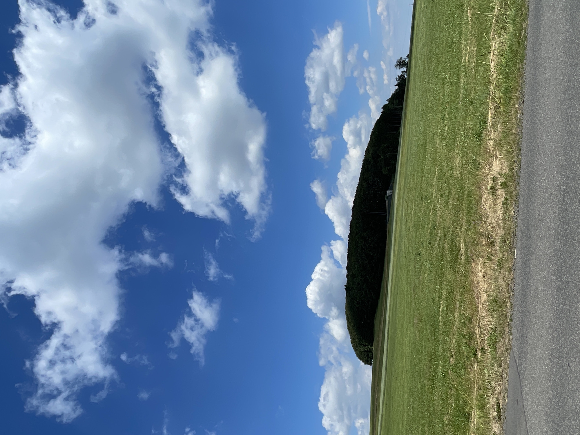 The image depicts a rural landscape under a bright blue sky with scattered white cumulus clouds. In the foreground, a paved road runs horizontally across the bottom of the frame, its dark asphalt contrasting with the lush green grass that extends uphill. A line of dry, yellowed grass and vegetation separates the paved road from the greener field.
Dominating the mid-ground and background is a large, oval-shaped hill densely covered with dark green trees, forming a forest. The hill slopes gently upwards from the viewer's perspective. A small, light-colored building, possibly a shed or a small house, is visible nestled amongst the trees on the left side of the hill. To the right of the hill, a few scattered trees stand on the horizon. The overall environment suggests a peaceful, natural setting outside of a city.
The image does not contain any people, actions, or interactions. The location is identified as being in the city of Schwarzenborn, Germany.