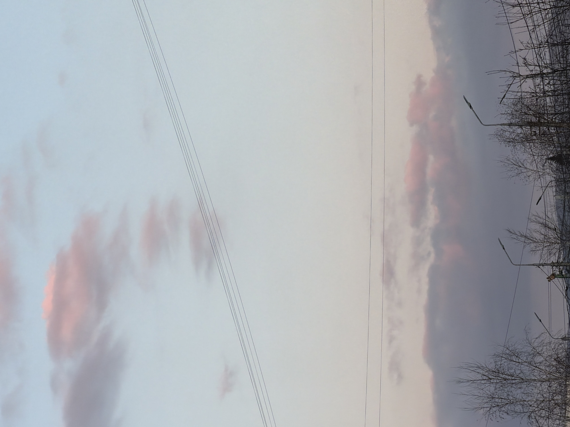 The image depicts a dusky sky over a street scene. The sky is a mix of pale blue and gray, with hints of pink in the clouds. Power lines crisscross the sky. Along the right edge of the image are bare trees and streetlights. Given the sky's lighting and the bare trees, the scene likely depicts a winter evening. While Krasnoyarsk is specified, there is insufficient information to confirm this. No people are visible. The main subjects are the sky, trees, and streetlights.