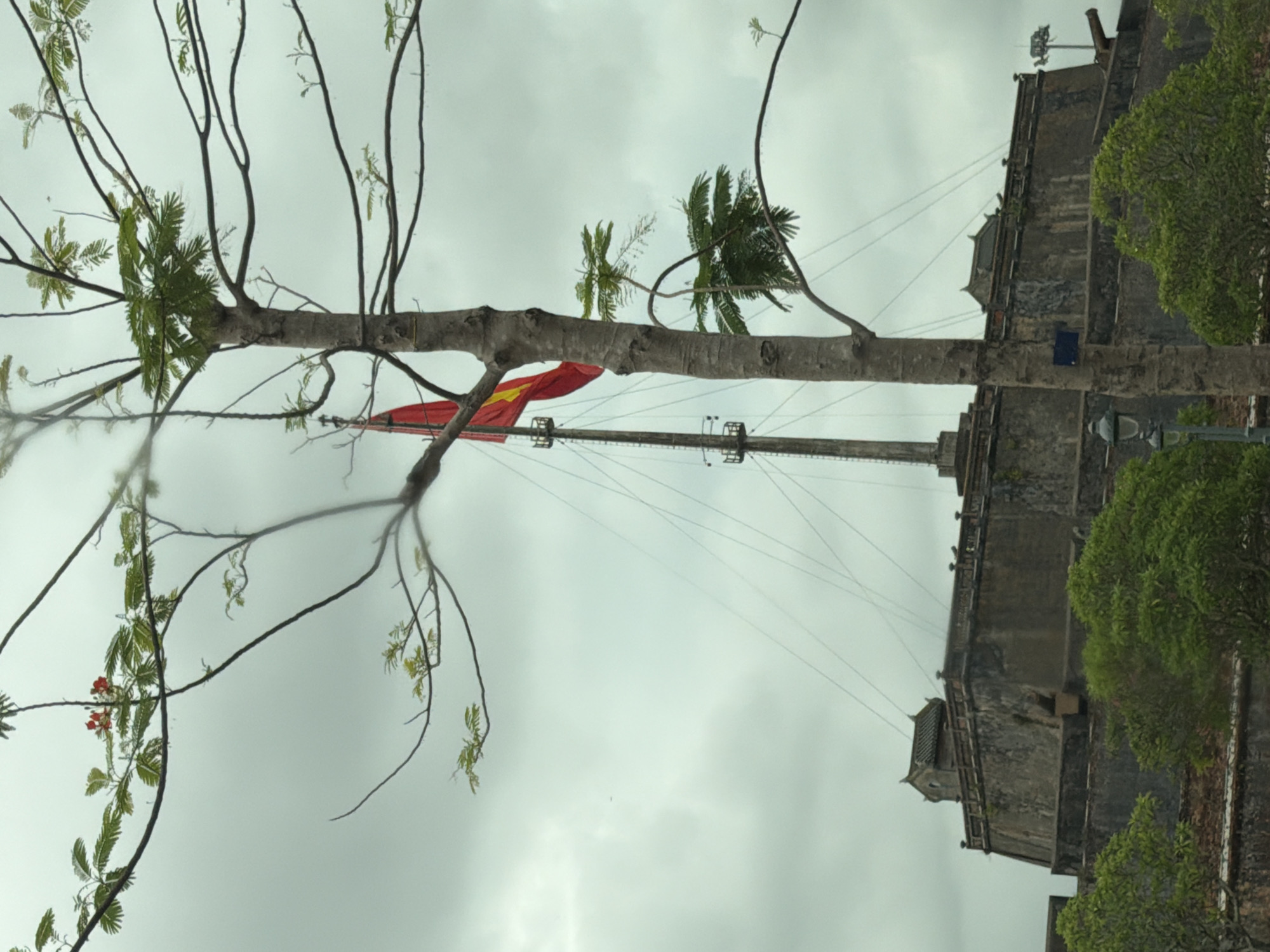 An overcast day in Phú Xuân Ward, Vietnam, frames a view of a large, stone fortress, likely a historical landmark. A tall flagpole with a Vietnamese flag, red with a yellow star, stands prominently against the cloudy sky. In the foreground, a tree with a thick trunk and bare branches partially obscures the view of the fortress and flag. Lush green trees surround the base of the fortress, and a dark, antique-style lamppost is visible to the left of the tree trunk. The fortress itself is a substantial structure with battlements and several smaller buildings on top. A cannon barrel is visible extending from the fortress wall on the right side of the image.