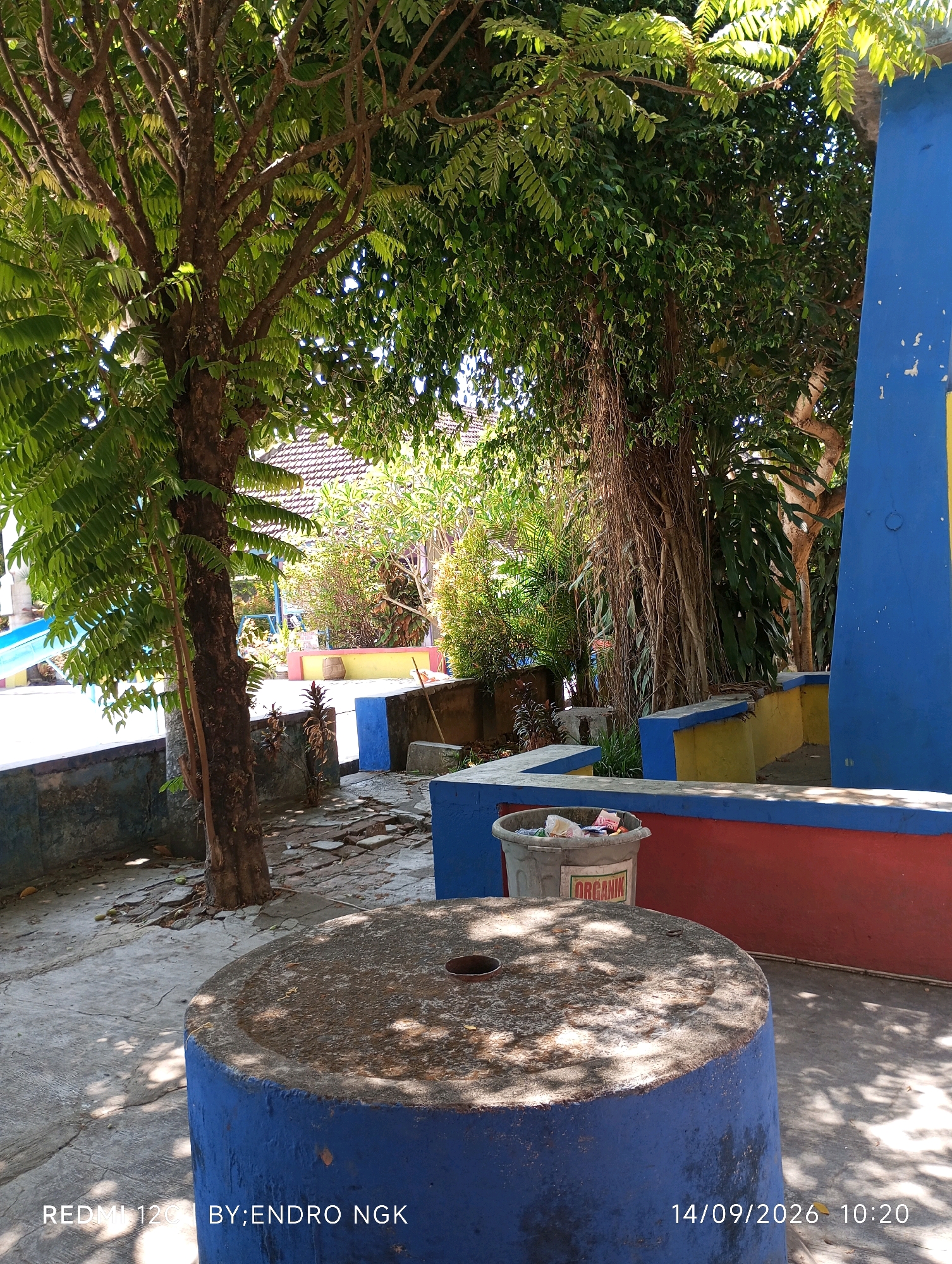 This image captures an outdoor scene with elements suggesting a public space, possibly a park or schoolyard, in Sombron, Indonesia. A large, old tree with sprawling branches and dense green foliage dominates the left side of the frame. Sunlight filters through the leaves, casting dappled shadows on the concrete ground. In the foreground, a round, blue-painted concrete structure, potentially a bench or table, is visible. To the right, a vibrantly painted structure with blue, yellow, and red sections appears to be part of a seating area or decorative element. A grey trash bin, labeled "ORGANIK" in green, is placed on this structure, containing various discarded items. The background reveals more vegetation, a tiled roof of a building, and glimpses of playground equipment, further reinforcing the idea of a communal area. The overall impression is one of a somewhat weathered but functional outdoor space under a bright sky. The timestamp and device information at the bottom of the image indicate it was taken on September 14, 2026, at 10:20 AM by a REDMI 12C device. There are no people visible in the scene.