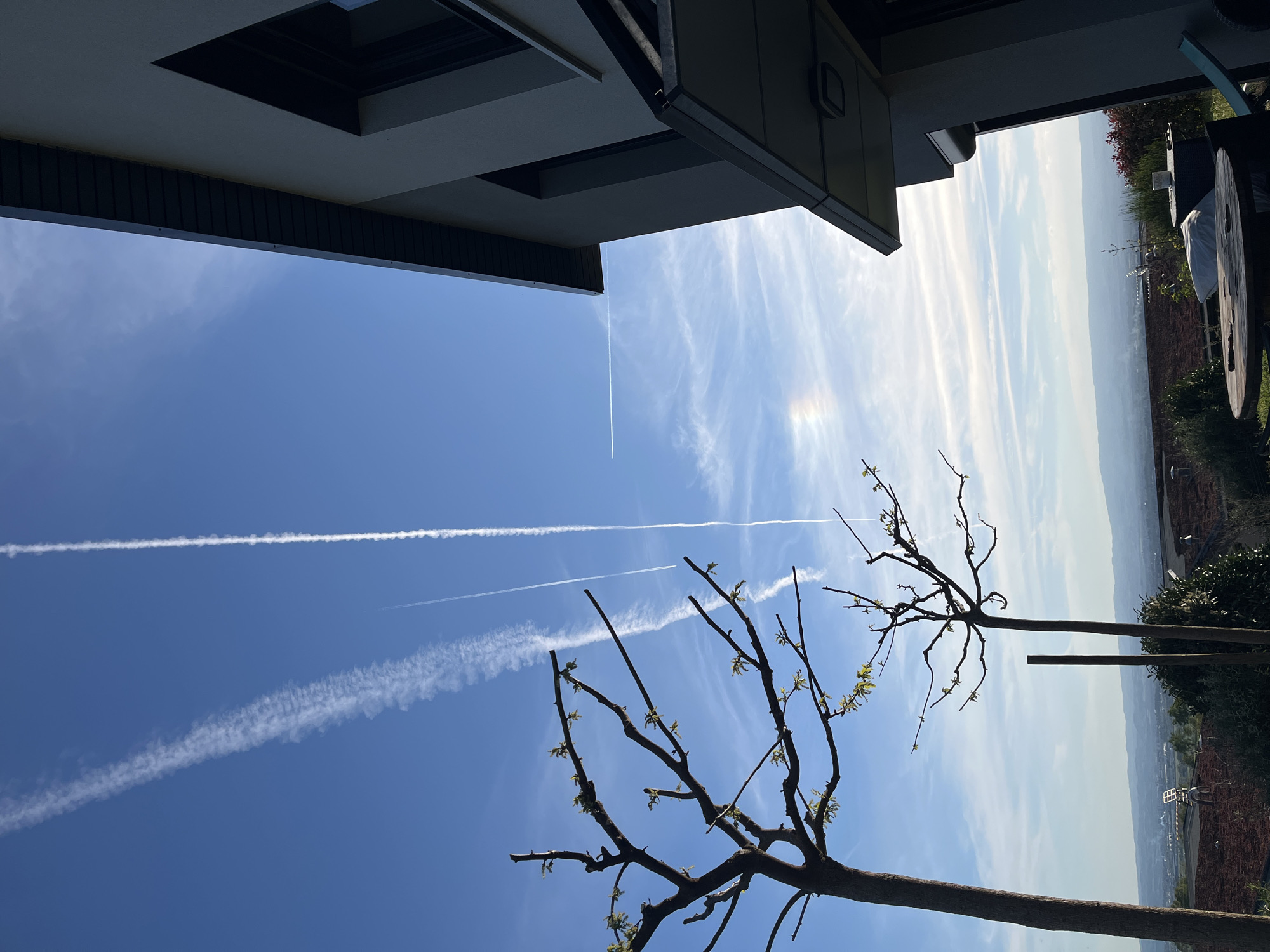 The image shows a view from Chambœuf, France, looking upward at a bright blue sky with several contrails left by aircraft. The sky is partially obscured by the branches of two bare trees with nascent leaves. A portion of a building's roofline and exterior wall are visible at the top of the frame. The distant landscape, consisting of hills and possibly a valley, is faintly visible through the atmospheric haze. A circular rainbow-like pattern can be seen around the sun.