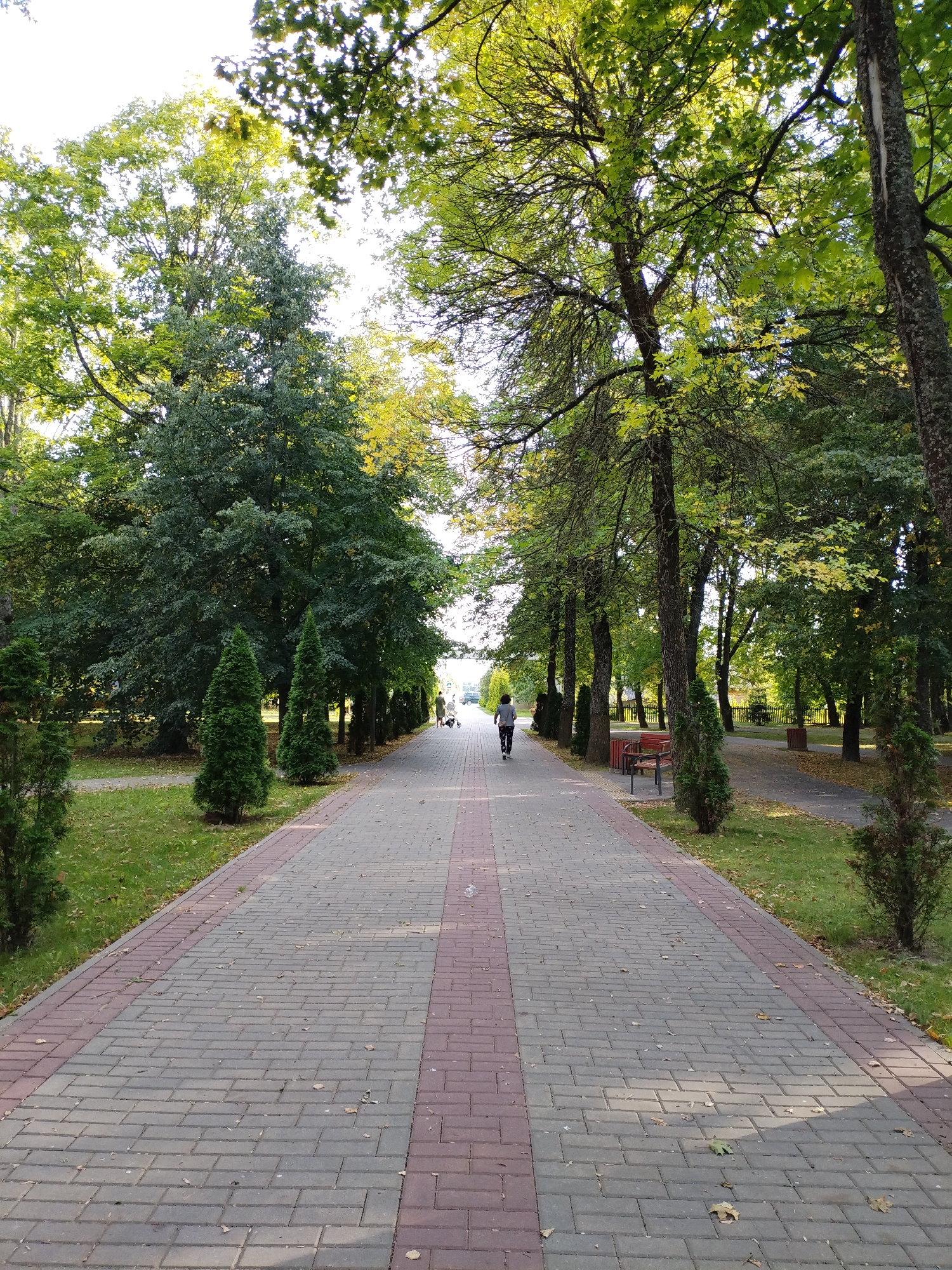 The image depicts a paved pathway in a park-like setting, likely located in Bialynichy, Belarus. The pathway is made of rectangular pavers, alternating between gray and red brick patterns. On either side of the pathway, there are neatly mowed lawns with scattered fallen leaves, indicating an autumn season. A row of coniferous trees and larger deciduous trees line the pathway, casting shadows and creating a shaded canopy. In the distance, a person is walking away from the camera, accompanied by a dog on a leash. Several park benches and trash receptacles are visible along the sides of the pathway. The overall impression is one of a tranquil public space, well-maintained and conducive to outdoor activities.